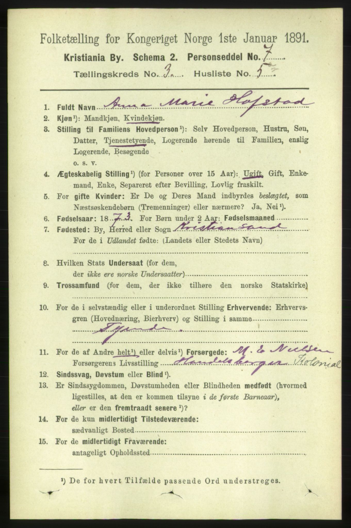 RA, 1891 census for 0301 Kristiania, 1891, p. 1325