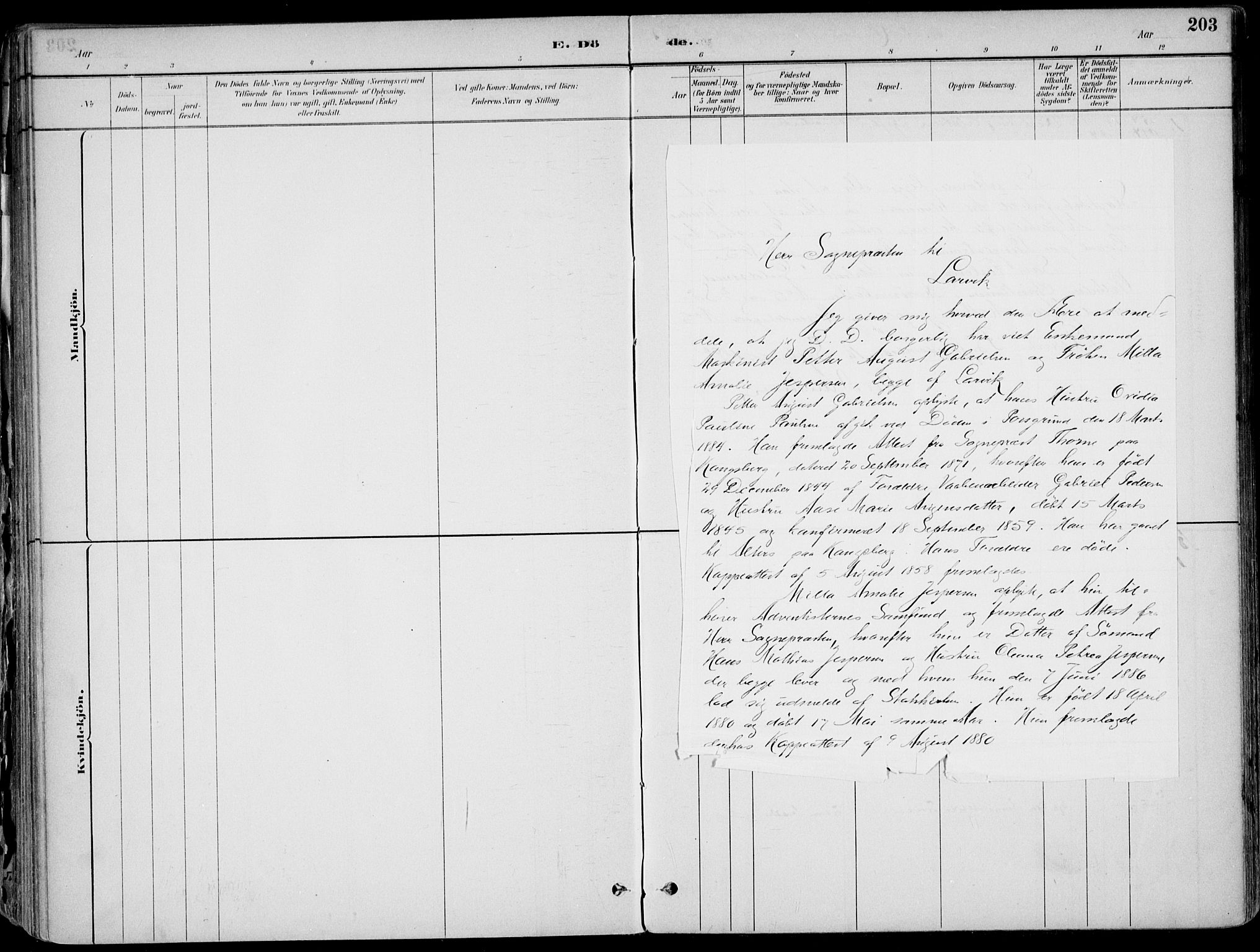 Larvik kirkebøker, AV/SAKO-A-352/F/Fb/L0004: Parish register (official) no. II 4, 1884-1902, p. 203