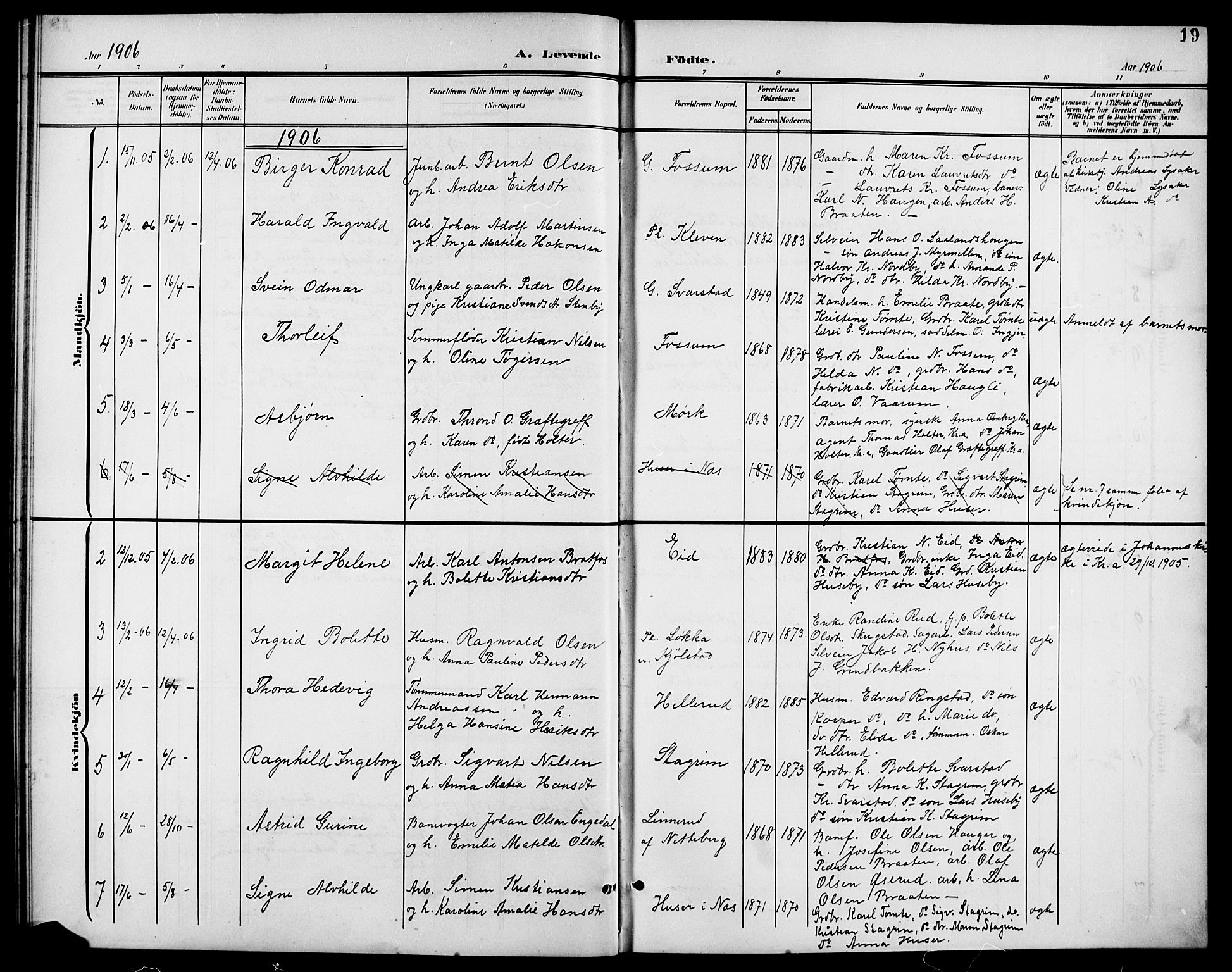 Aurskog prestekontor Kirkebøker, AV/SAO-A-10304a/G/Gb/L0002: Parish register (copy) no. II 2, 1901-1926, p. 19