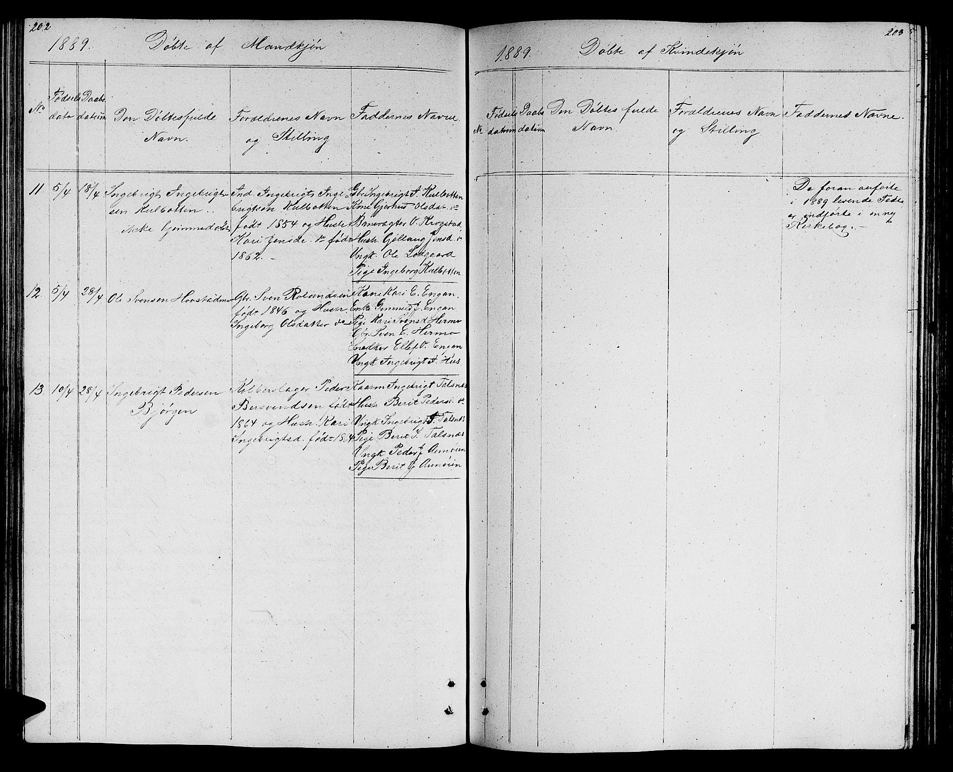 Ministerialprotokoller, klokkerbøker og fødselsregistre - Sør-Trøndelag, AV/SAT-A-1456/688/L1027: Parish register (copy) no. 688C02, 1861-1889, p. 202-203