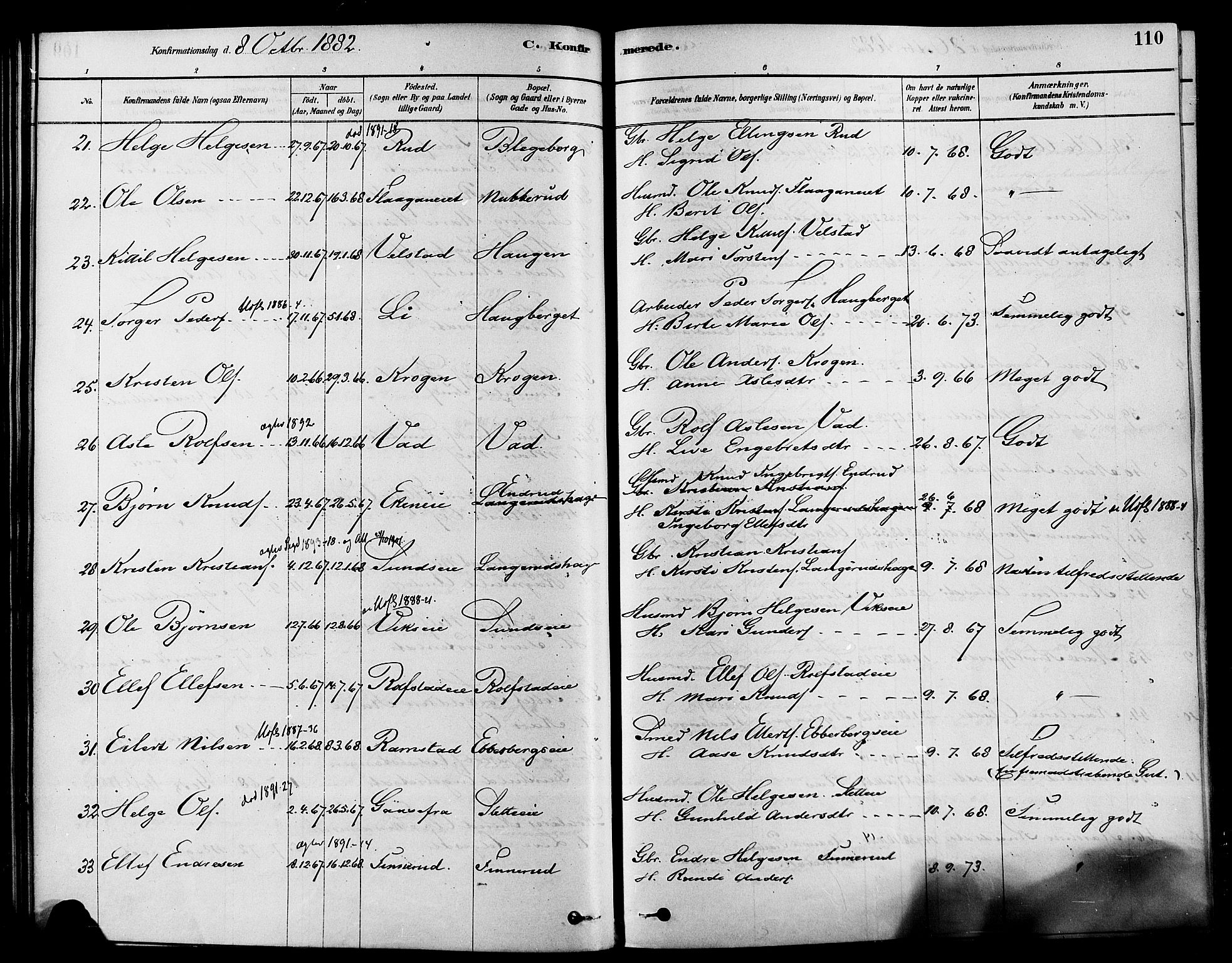 Sigdal kirkebøker, AV/SAKO-A-245/F/Fa/L0011: Parish register (official) no. I 11, 1879-1887, p. 110