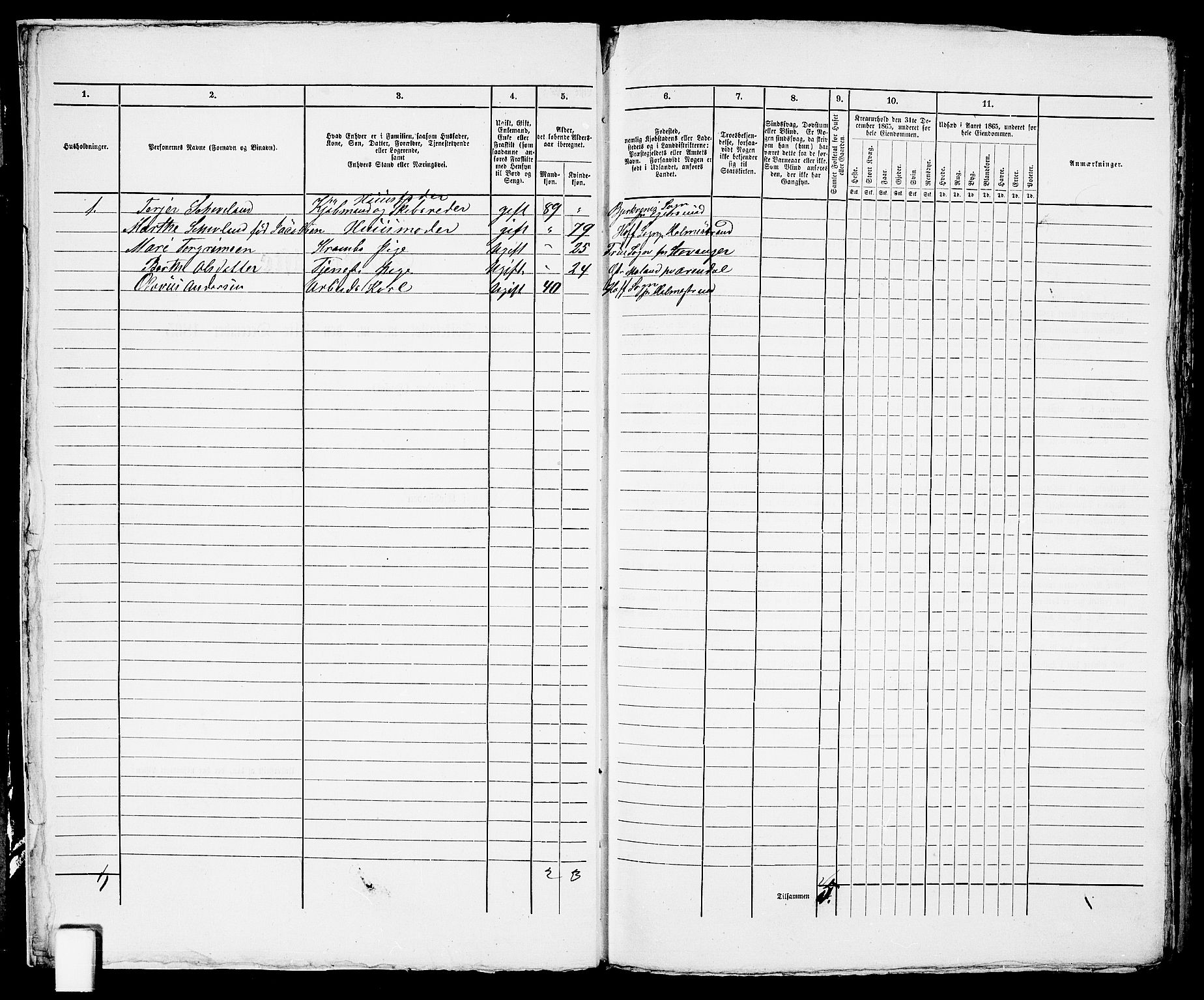 RA, 1865 census for Arendal, 1865, p. 358