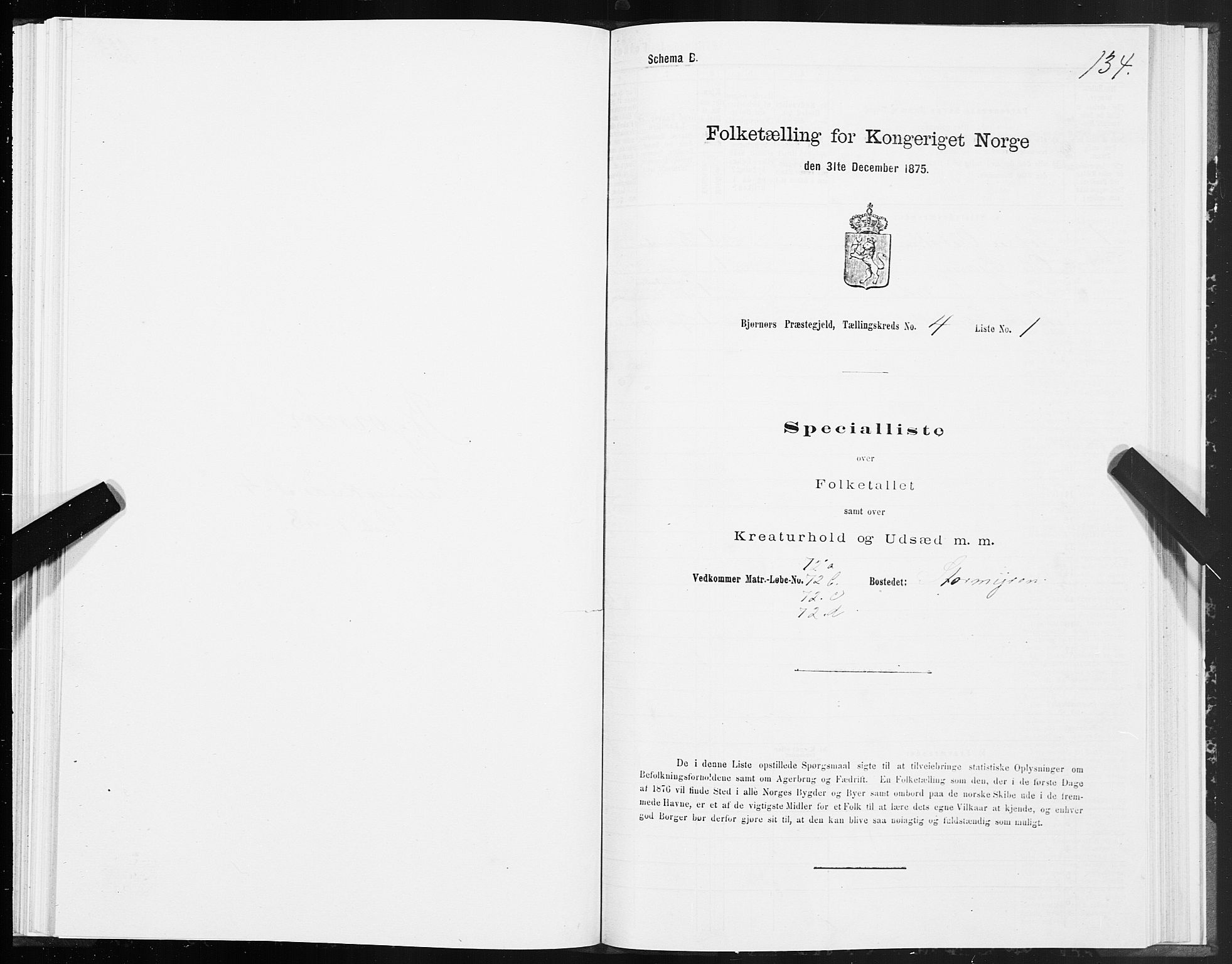 SAT, 1875 census for 1632P Bjørnør, 1875, p. 2134
