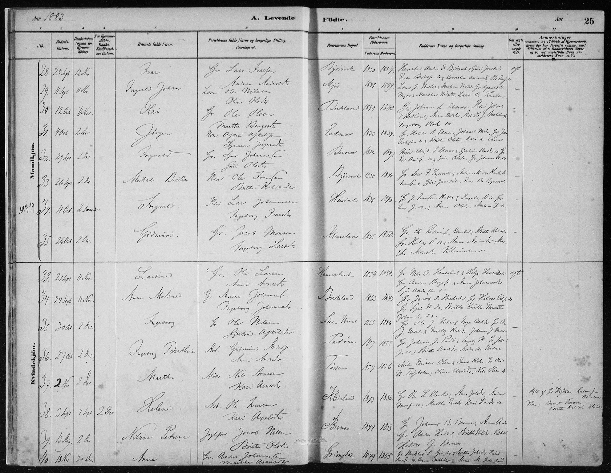 Hosanger sokneprestembete, AV/SAB-A-75801/H/Haa: Parish register (official) no. B  1, 1880-1896, p. 25