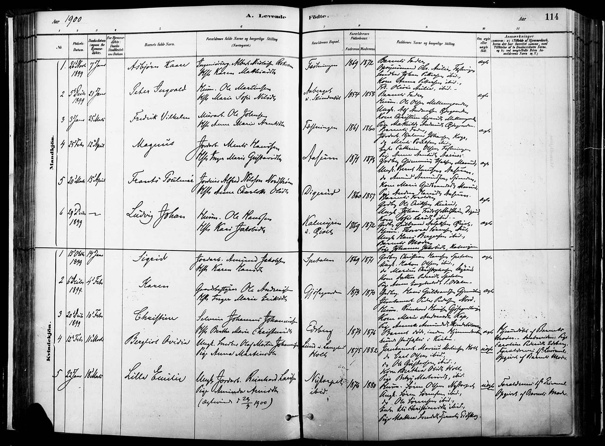 Vinger prestekontor, AV/SAH-PREST-024/H/Ha/Haa/L0014: Parish register (official) no. 14, 1881-1900, p. 114