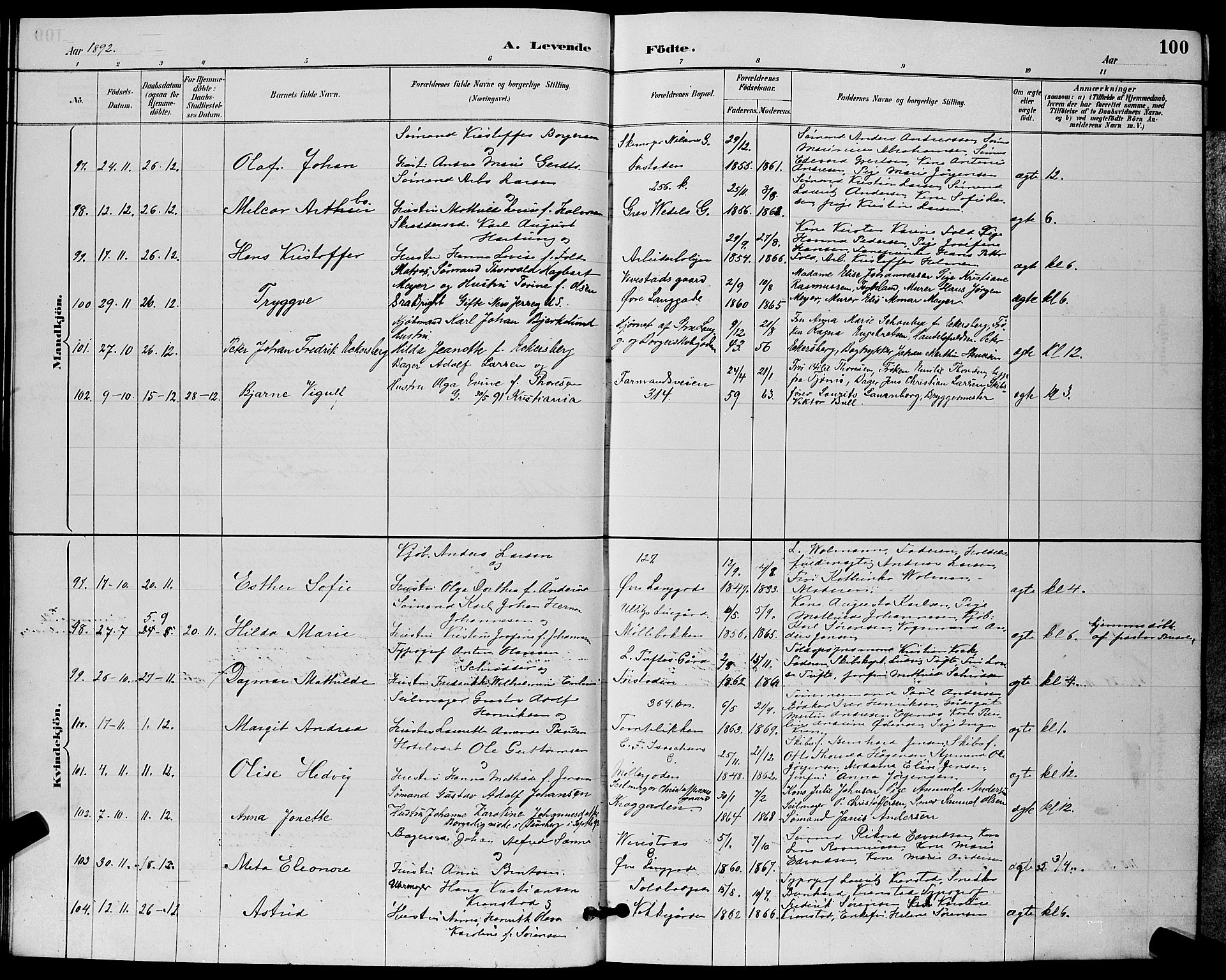 Tønsberg kirkebøker, SAKO/A-330/G/Ga/L0006: Parish register (copy) no. 6, 1885-1895, p. 100