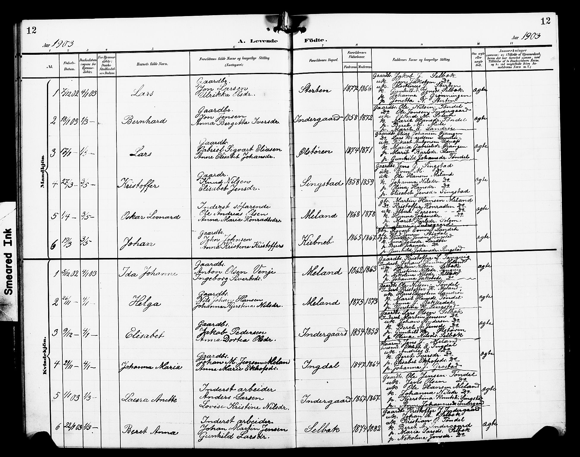 Ministerialprotokoller, klokkerbøker og fødselsregistre - Sør-Trøndelag, SAT/A-1456/663/L0763: Parish register (copy) no. 663C03, 1899-1908, p. 12