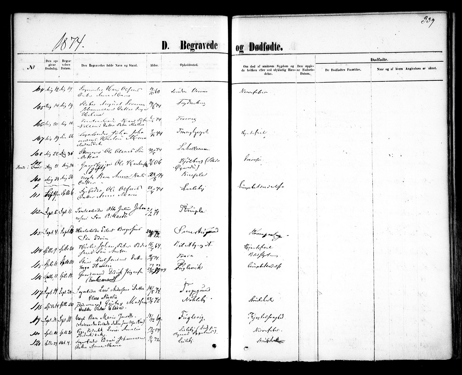 Glemmen prestekontor Kirkebøker, AV/SAO-A-10908/F/Fa/L0009: Parish register (official) no. 9, 1871-1878, p. 339