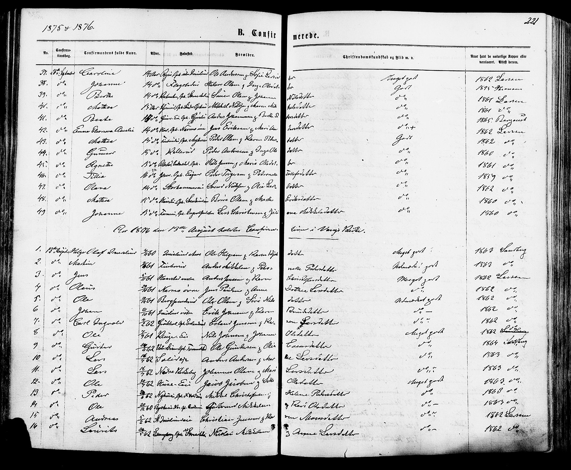 Vang prestekontor, Hedmark, AV/SAH-PREST-008/H/Ha/Haa/L0015: Parish register (official) no. 15, 1871-1885, p. 221