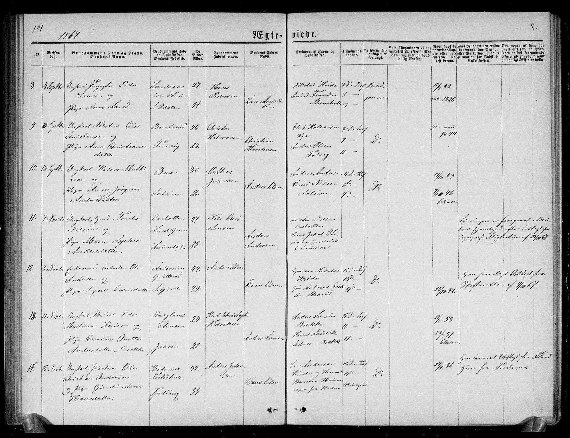 Brunlanes kirkebøker, AV/SAKO-A-342/G/Ga/L0002: Parish register (copy) no. I 2, 1866-1876, p. 101