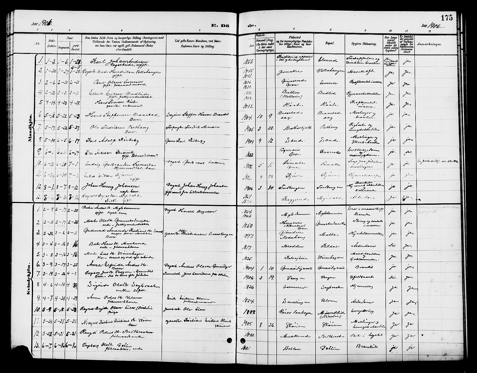 Jevnaker prestekontor, SAH/PREST-116/H/Ha/Hab/L0003: Parish register (copy) no. 3, 1896-1909, p. 175