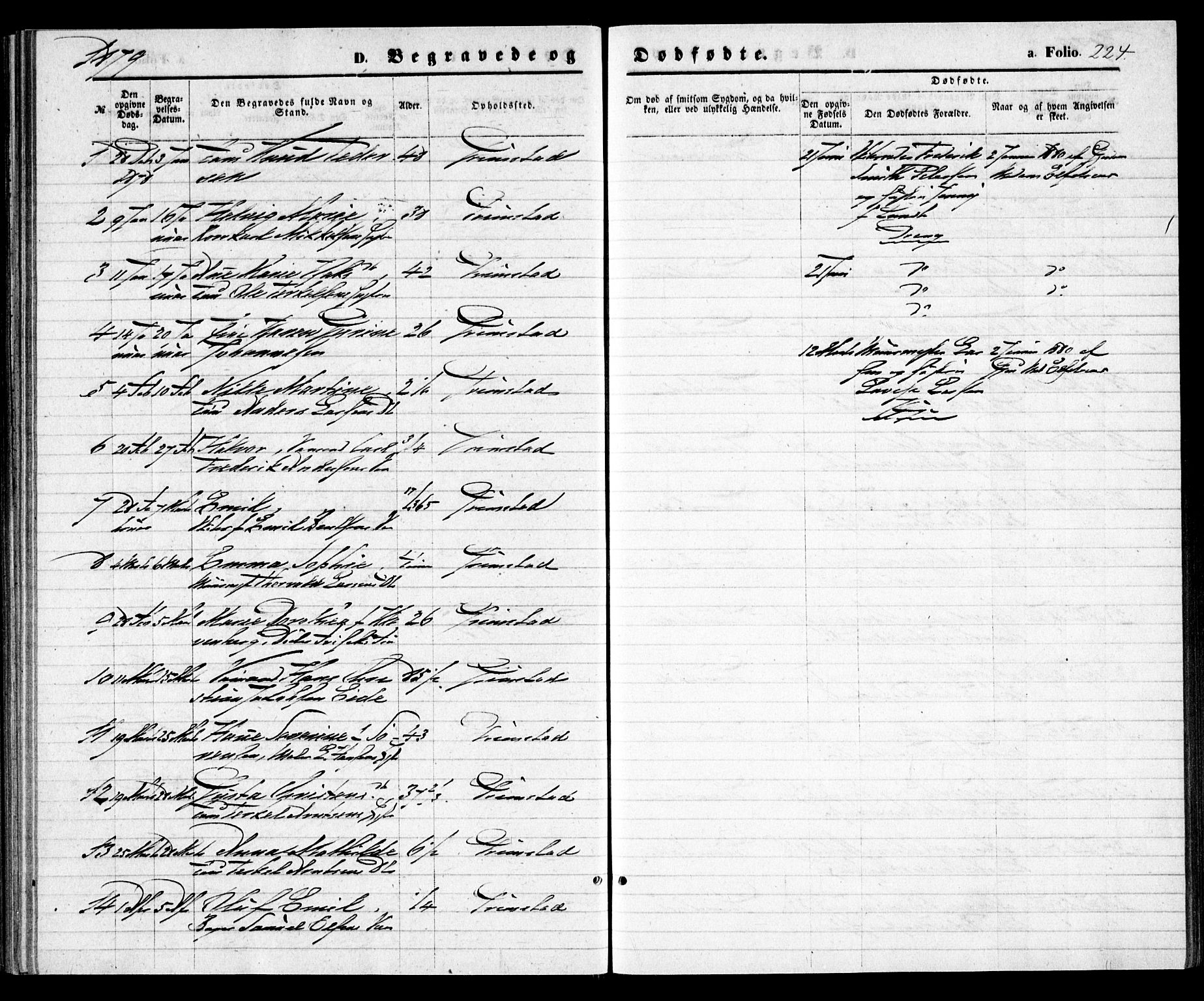 Grimstad sokneprestkontor, SAK/1111-0017/F/Fa/L0002: Parish register (official) no. A 1, 1869-1881, p. 224