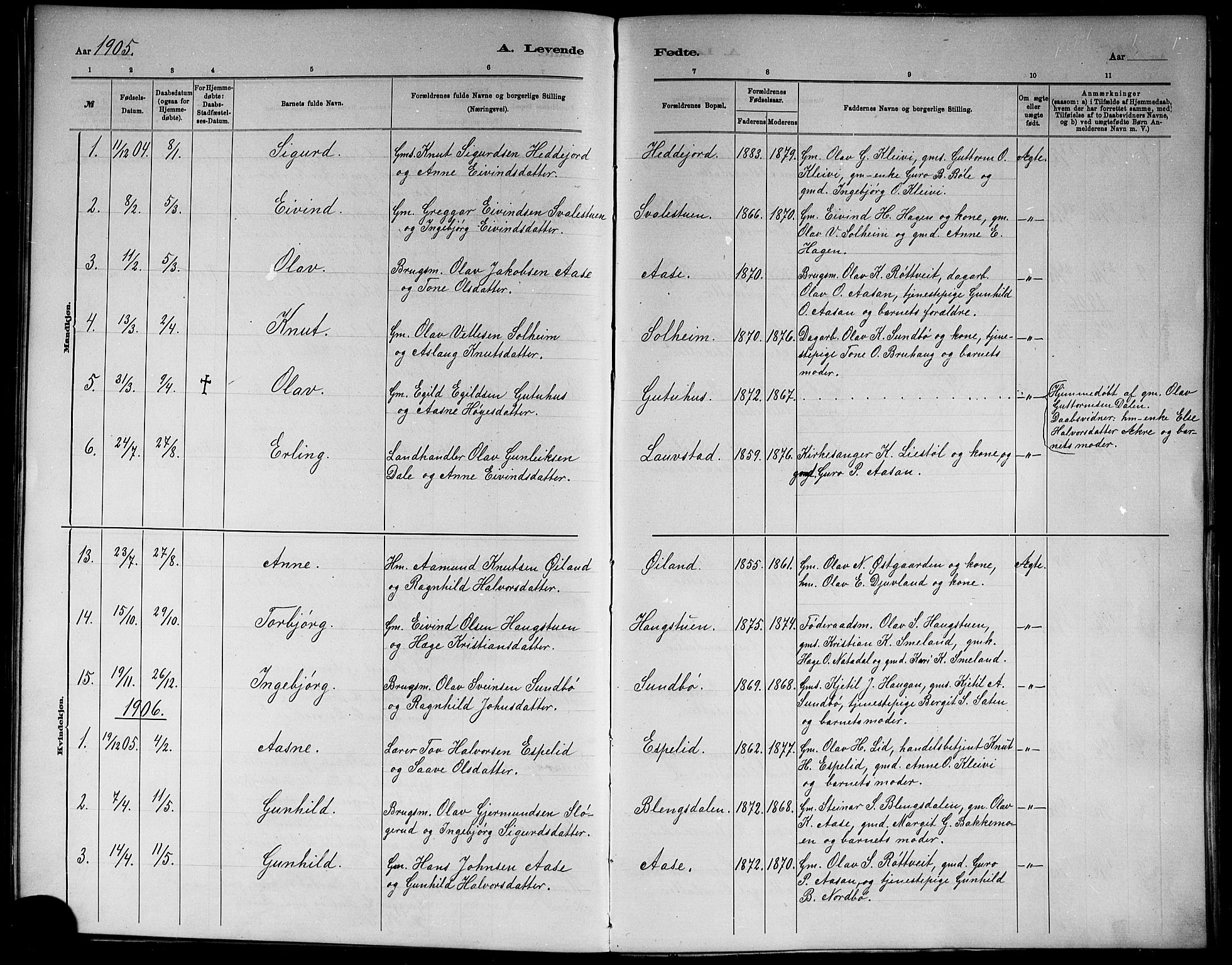 Seljord kirkebøker, AV/SAKO-A-20/G/Gb/L0004: Parish register (copy) no. II 4, 1885-1921