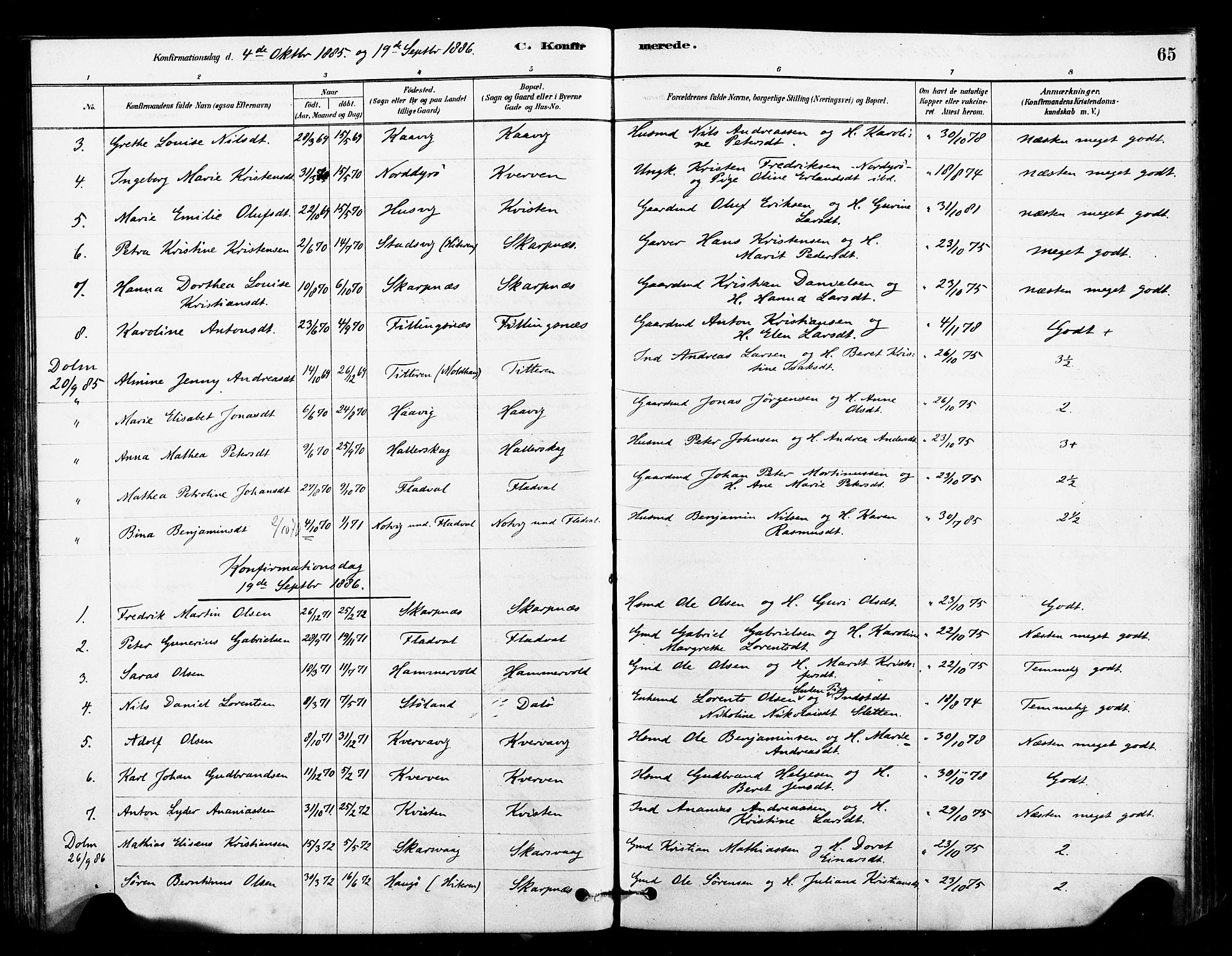 Ministerialprotokoller, klokkerbøker og fødselsregistre - Sør-Trøndelag, AV/SAT-A-1456/641/L0595: Parish register (official) no. 641A01, 1882-1897, p. 65