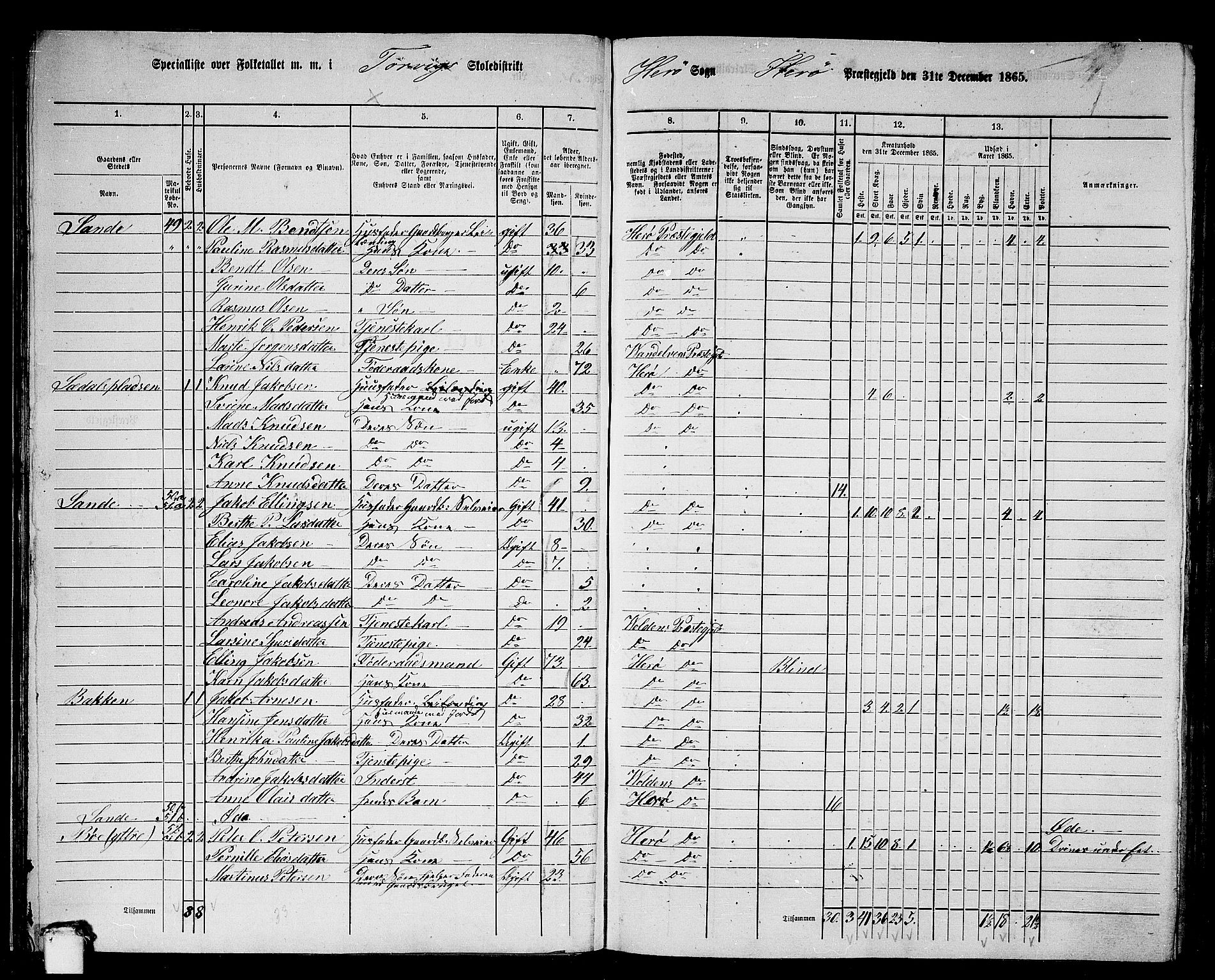 RA, 1865 census for Herøy, 1865, p. 41