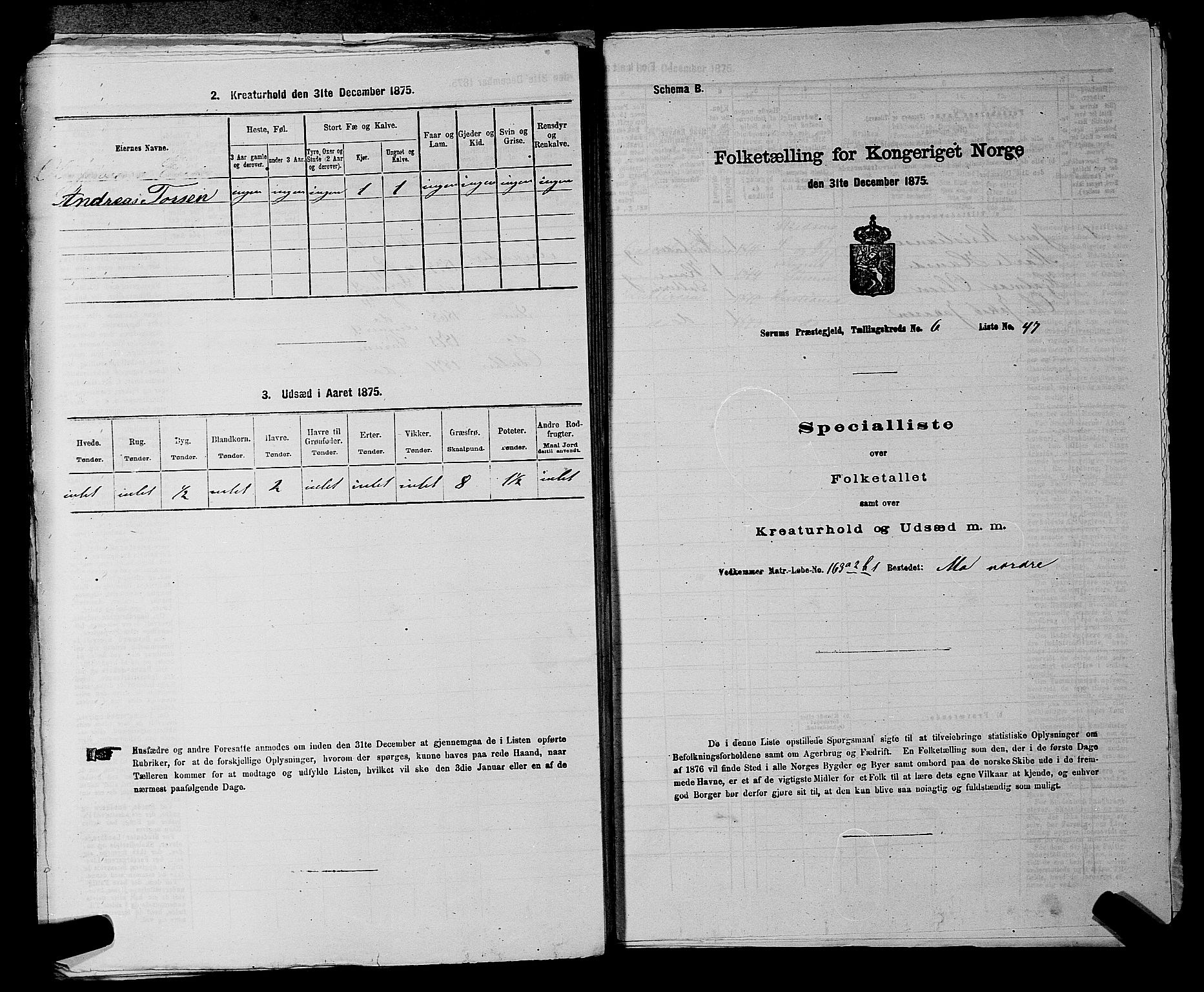 RA, 1875 census for 0226P Sørum, 1875, p. 933