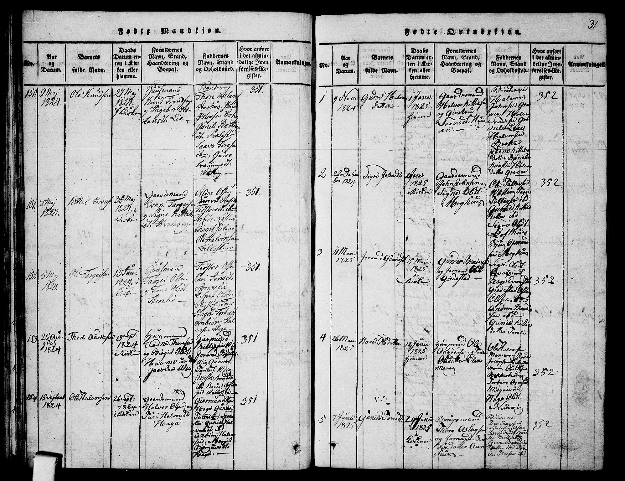 Fyresdal kirkebøker, SAKO/A-263/G/Ga/L0001: Parish register (copy) no. I 1, 1816-1840, p. 31