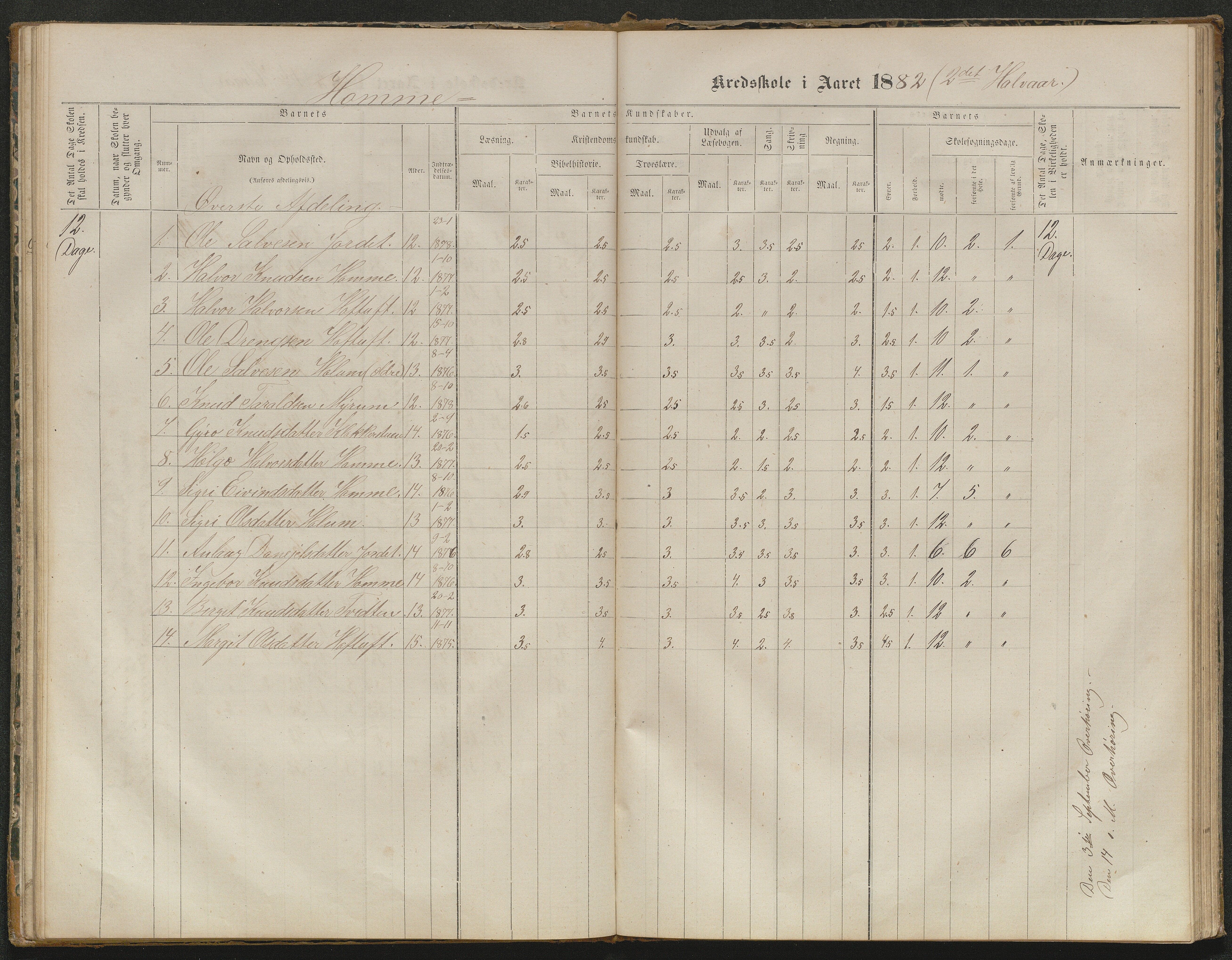 Valle kommune, AAKS/KA0940-PK/03/L0052: Karakterprotokoll for Homme skule. Karakterprotokoll for Oveinang skule. Karakterprotokoll for Tveitebø skule. Karakterprotokoll for den frivillige undervisning i Homme, 1863-1882