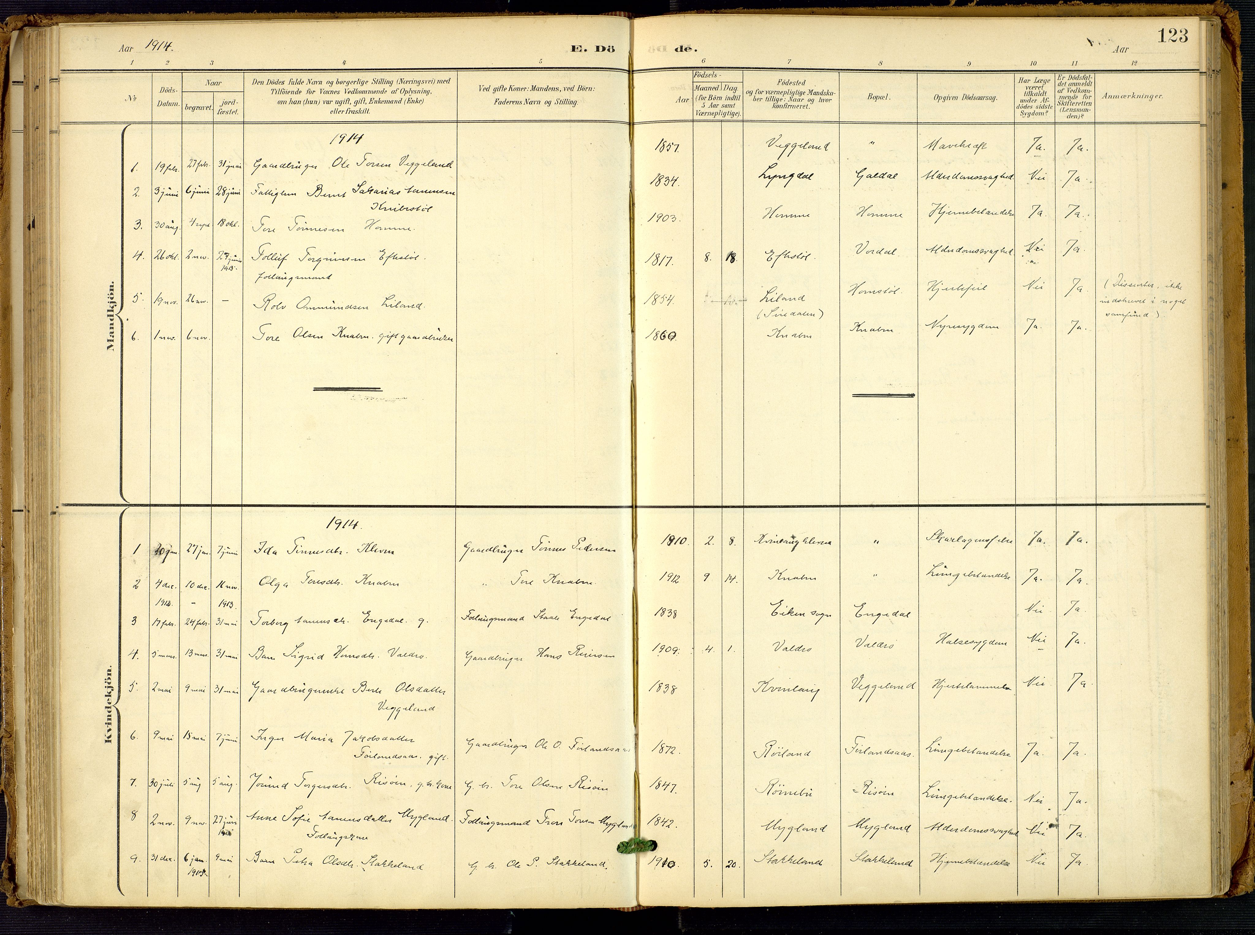 Fjotland sokneprestkontor, SAK/1111-0010/F/Fa/L0003: Parish register (official) no. A 3, 1899-1917, p. 123