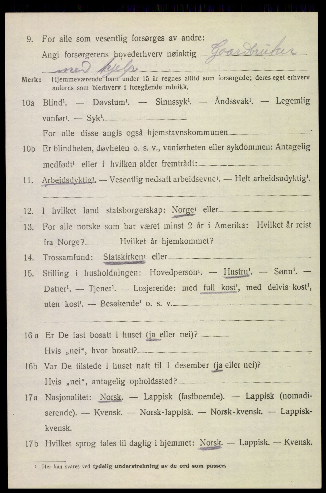 SAT, 1920 census for Bodin, 1920, p. 8353