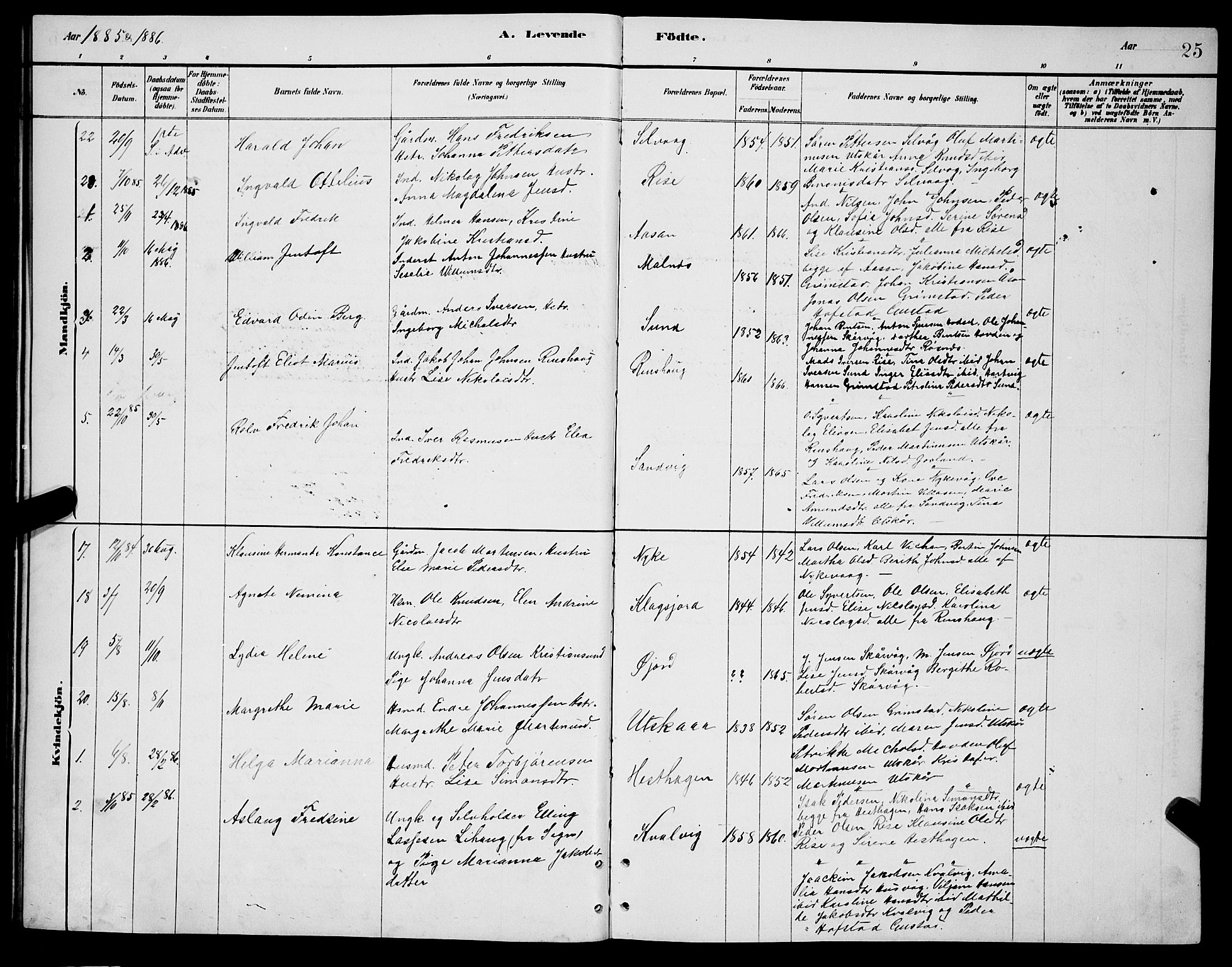 Ministerialprotokoller, klokkerbøker og fødselsregistre - Nordland, SAT/A-1459/892/L1325: Parish register (copy) no. 892C02, 1878-1896, p. 25