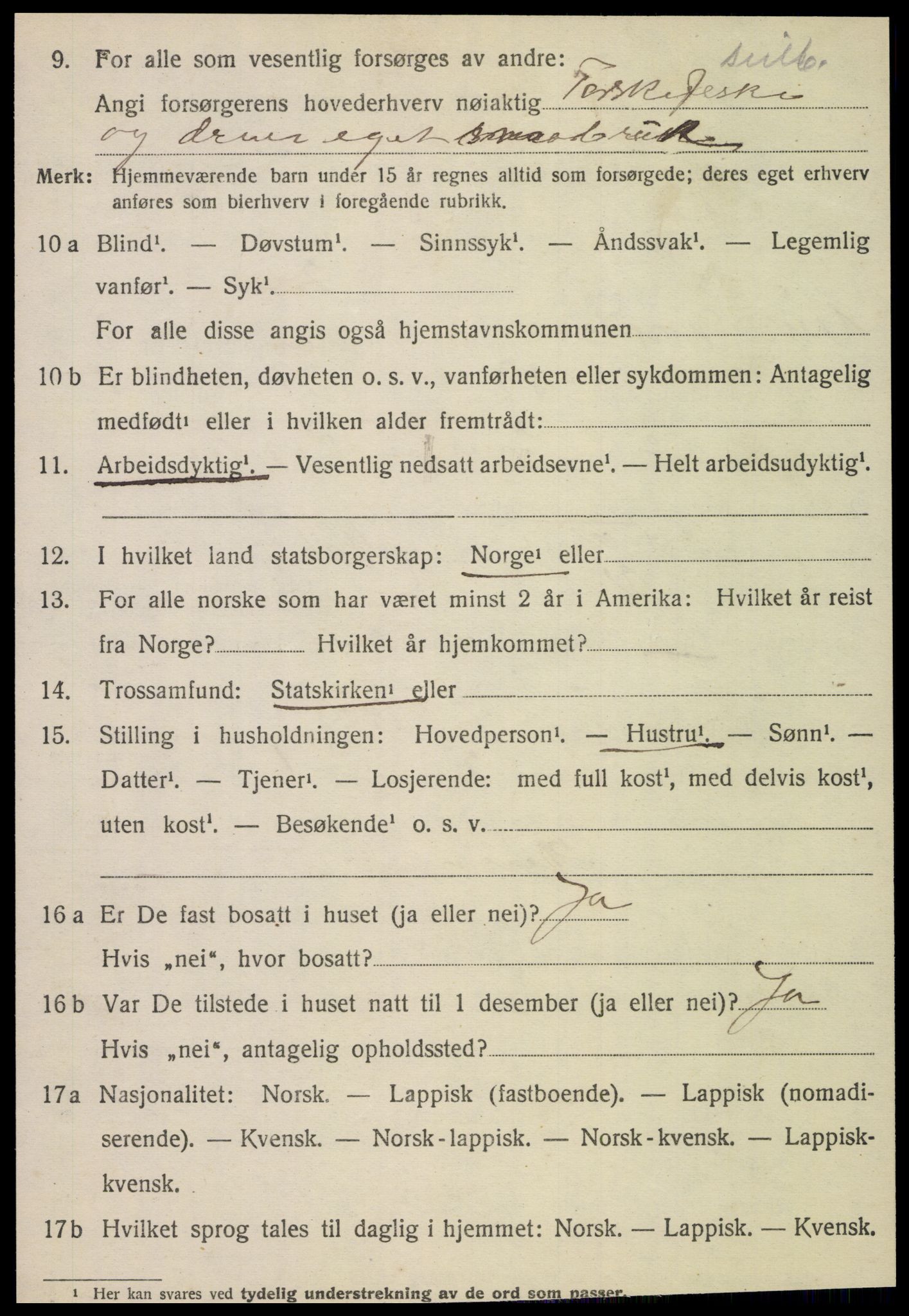 SAT, 1920 census for Vik, 1920, p. 2360