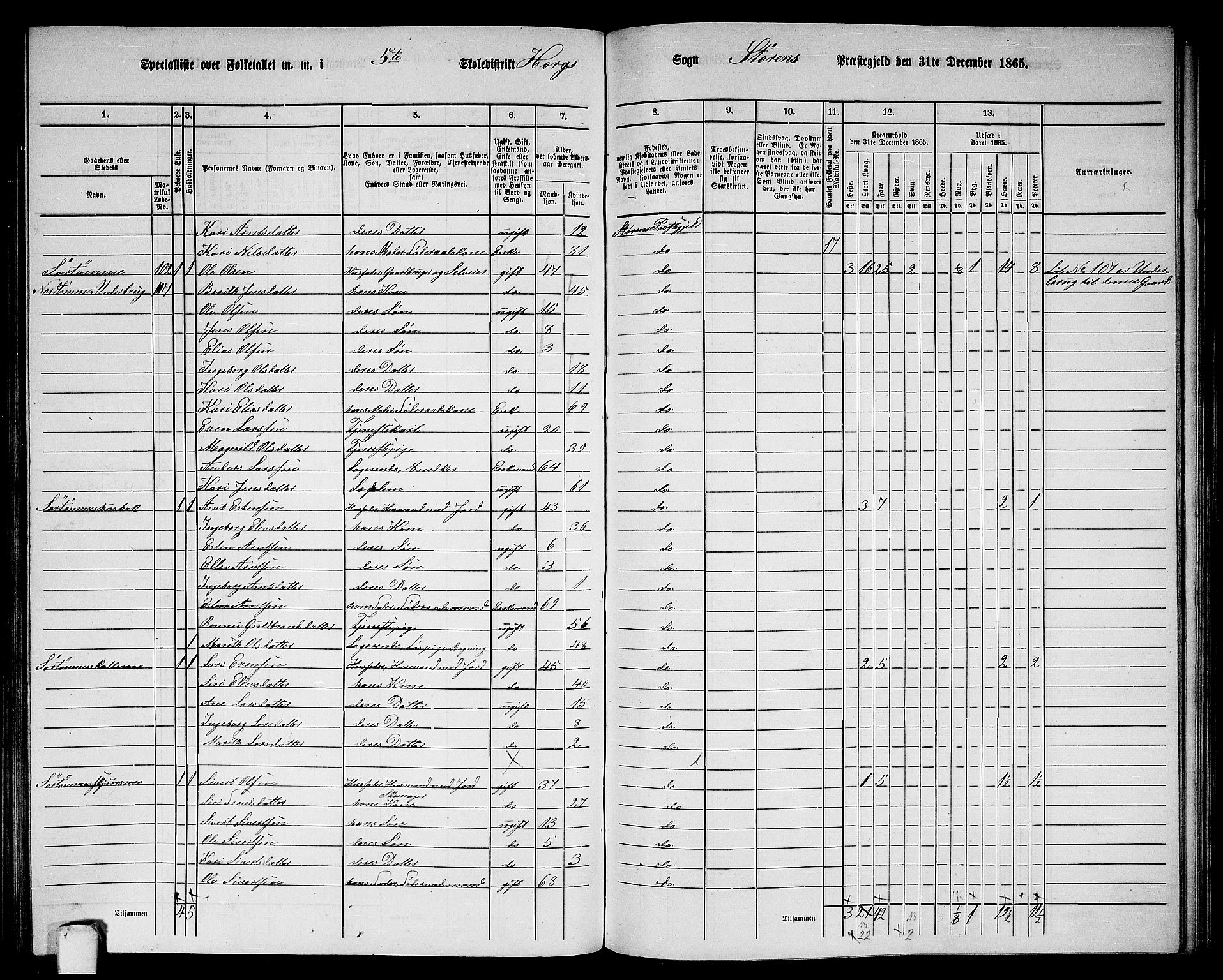 RA, 1865 census for Støren, 1865, p. 186