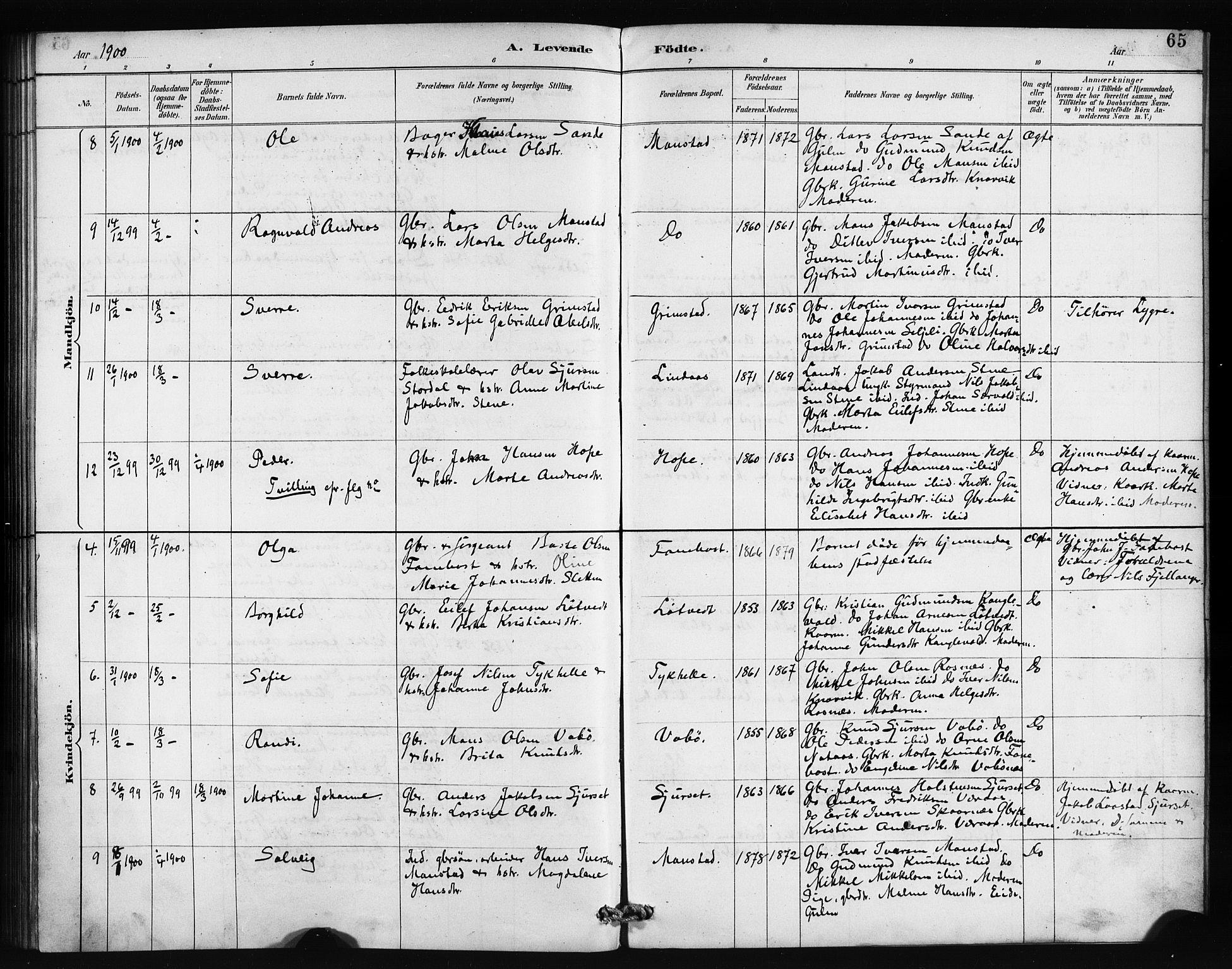 Lindås Sokneprestembete, AV/SAB-A-76701/H/Haa/Haab/L0001: Parish register (official) no. B 1, 1886-1900, p. 65