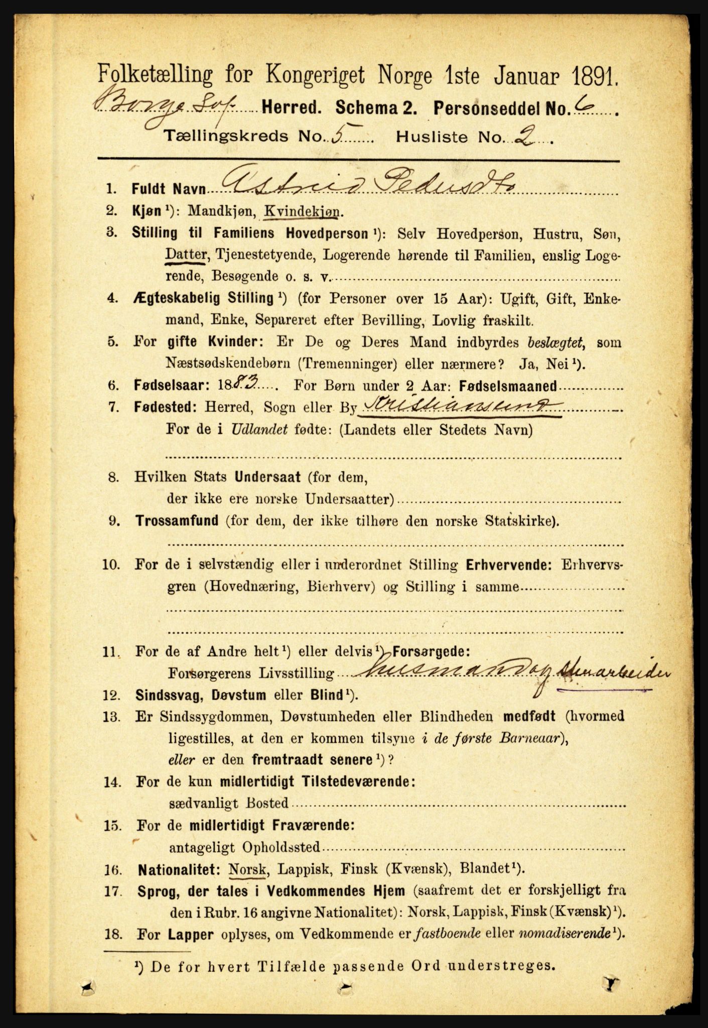 RA, 1891 census for 1862 Borge, 1891, p. 3090