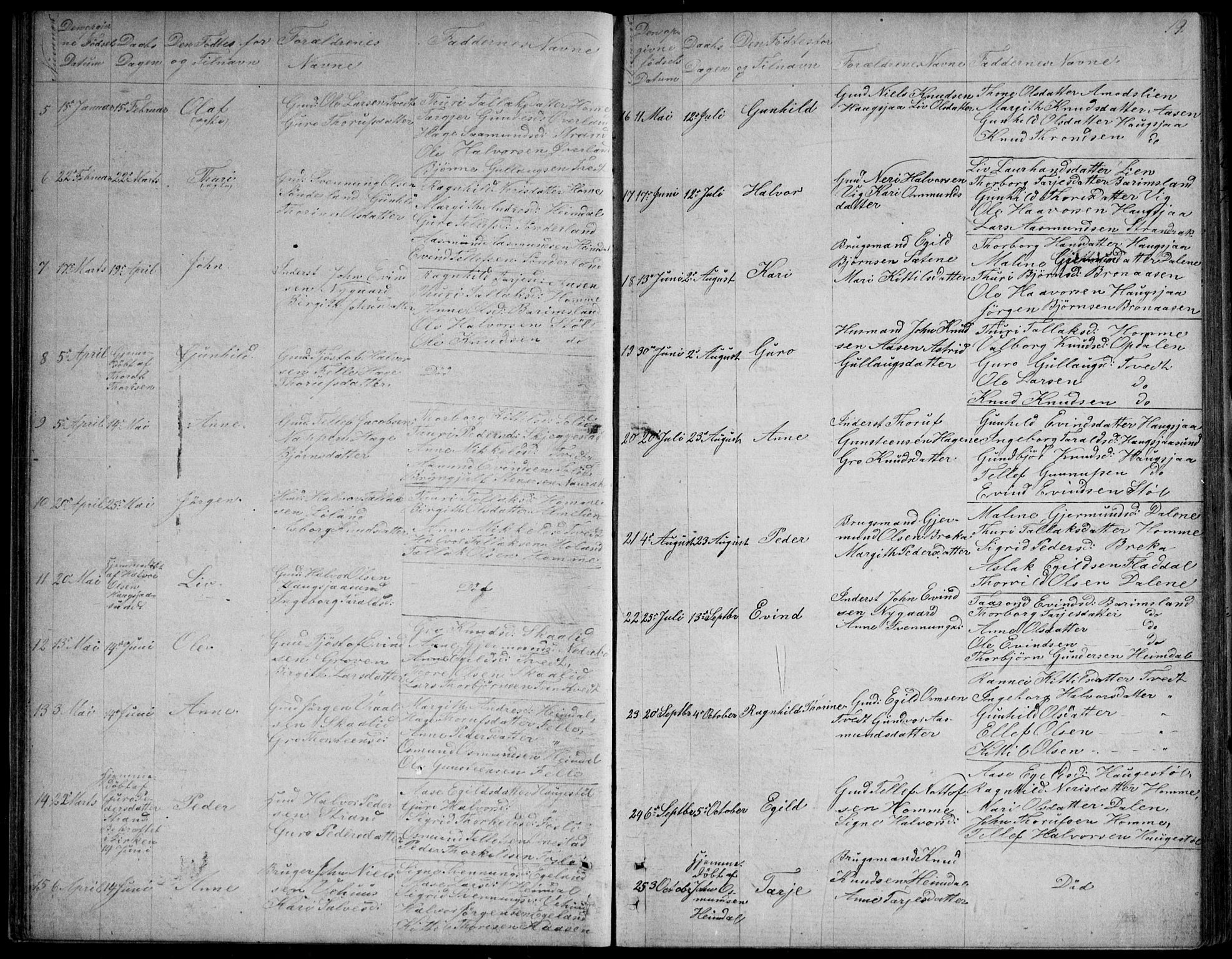 Nissedal kirkebøker, SAKO/A-288/G/Gb/L0002: Parish register (copy) no. II 2, 1863-1892, p. 19