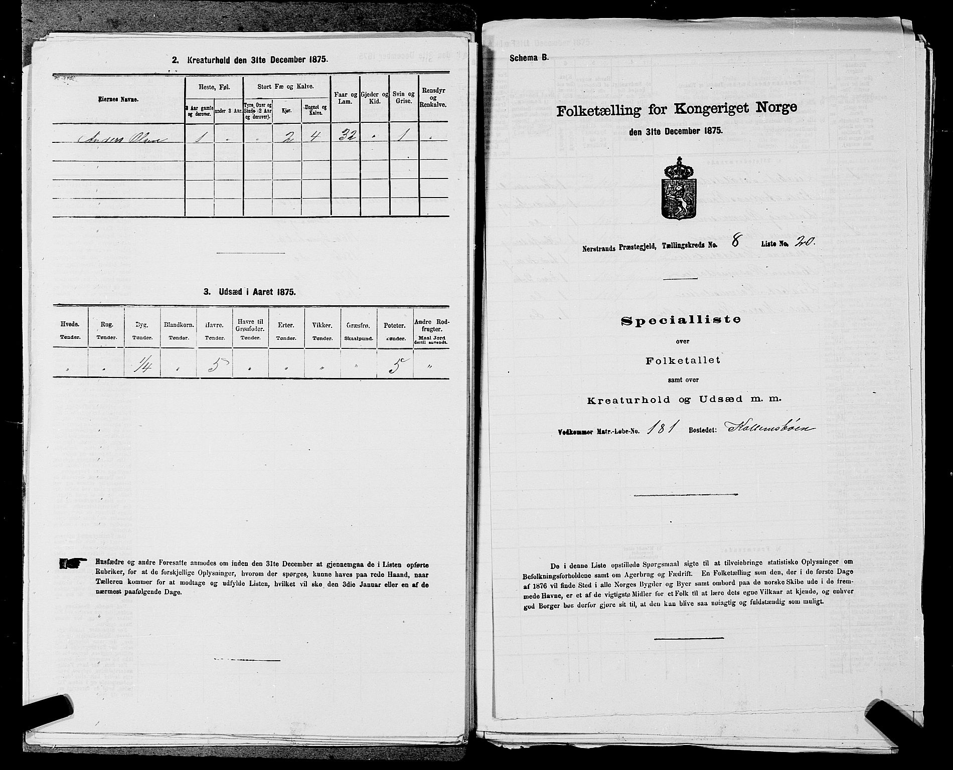 SAST, 1875 census for 1139P Nedstrand, 1875, p. 897