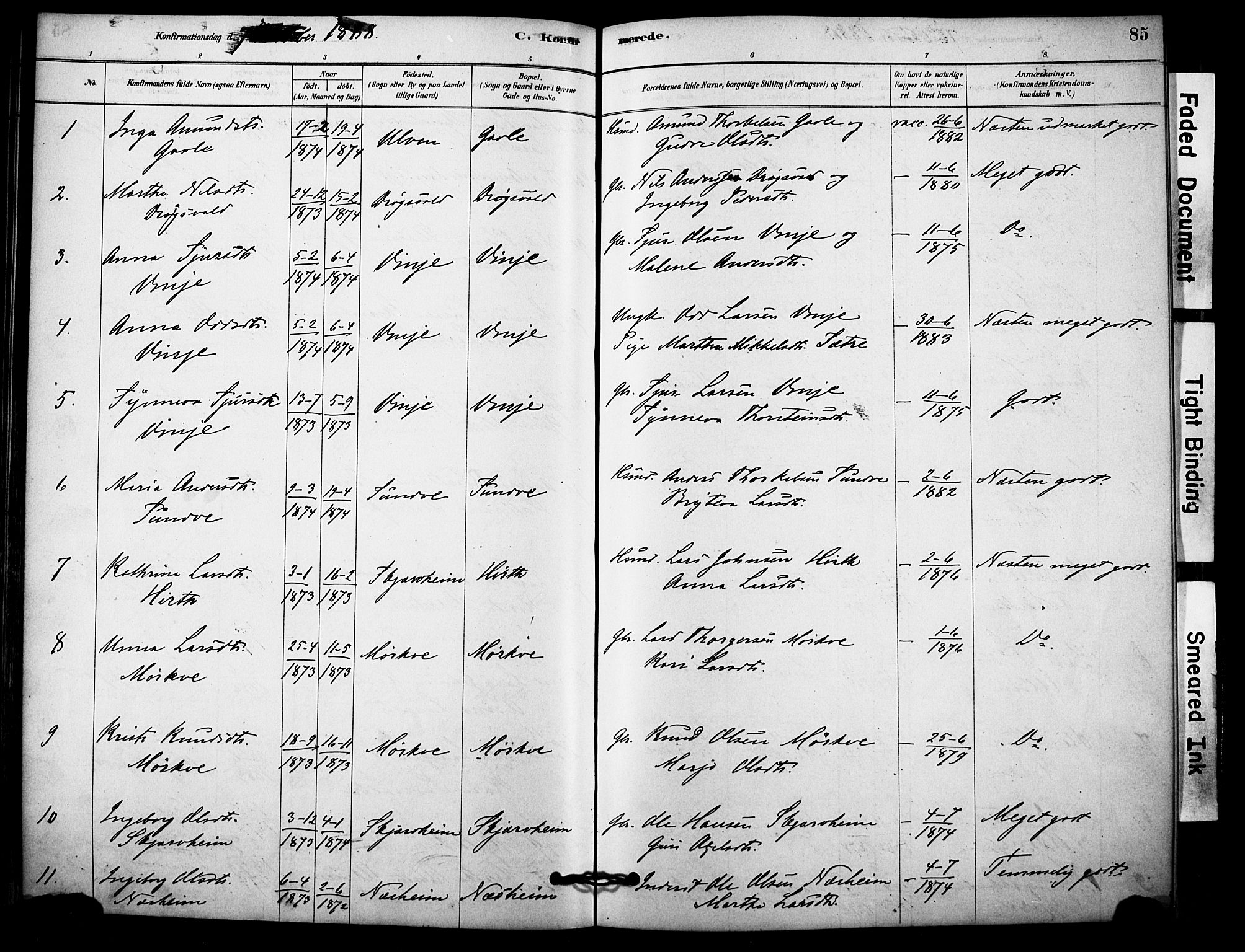 Vossestrand Sokneprestembete, AV/SAB-A-79101/H/Haa: Parish register (official) no. C 1, 1878-1903, p. 85