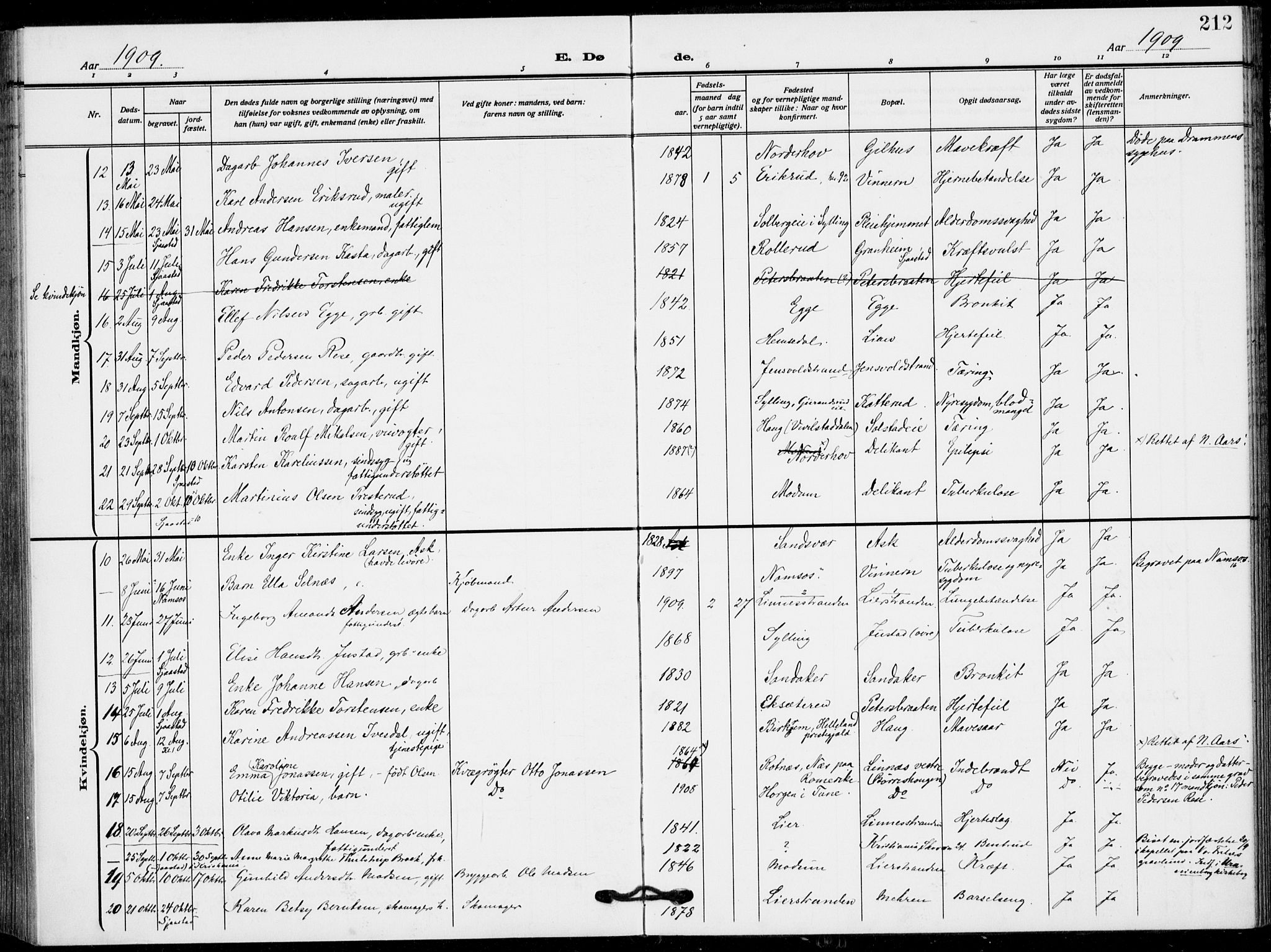 Lier kirkebøker, AV/SAKO-A-230/F/Fa/L0018: Parish register (official) no. I 18, 1909-1917, p. 212