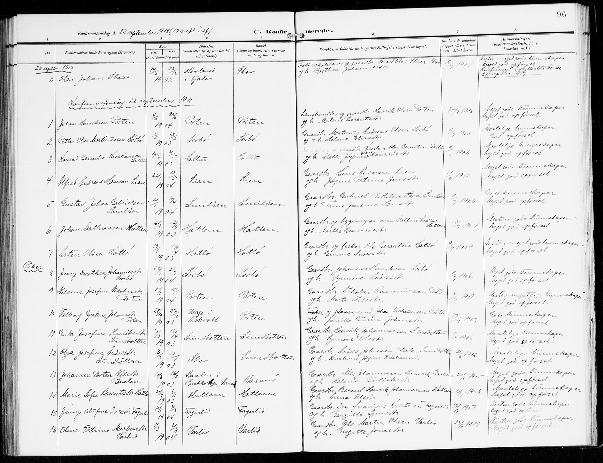 Hyllestad sokneprestembete, SAB/A-80401: Parish register (official) no. D 2, 1905-1919, p. 96