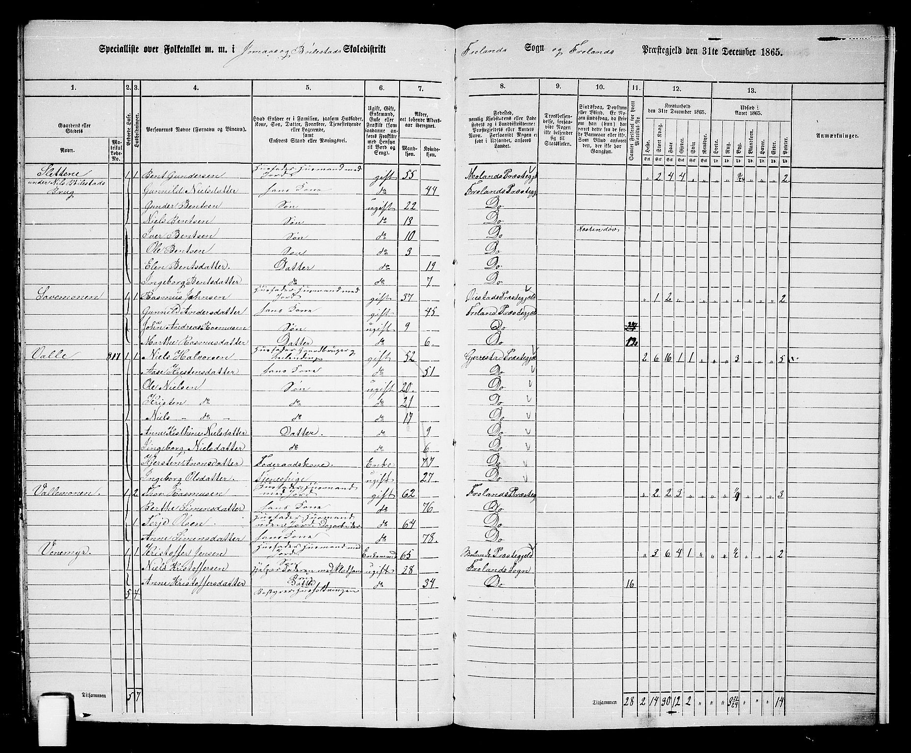 RA, 1865 census for Froland, 1865, p. 95