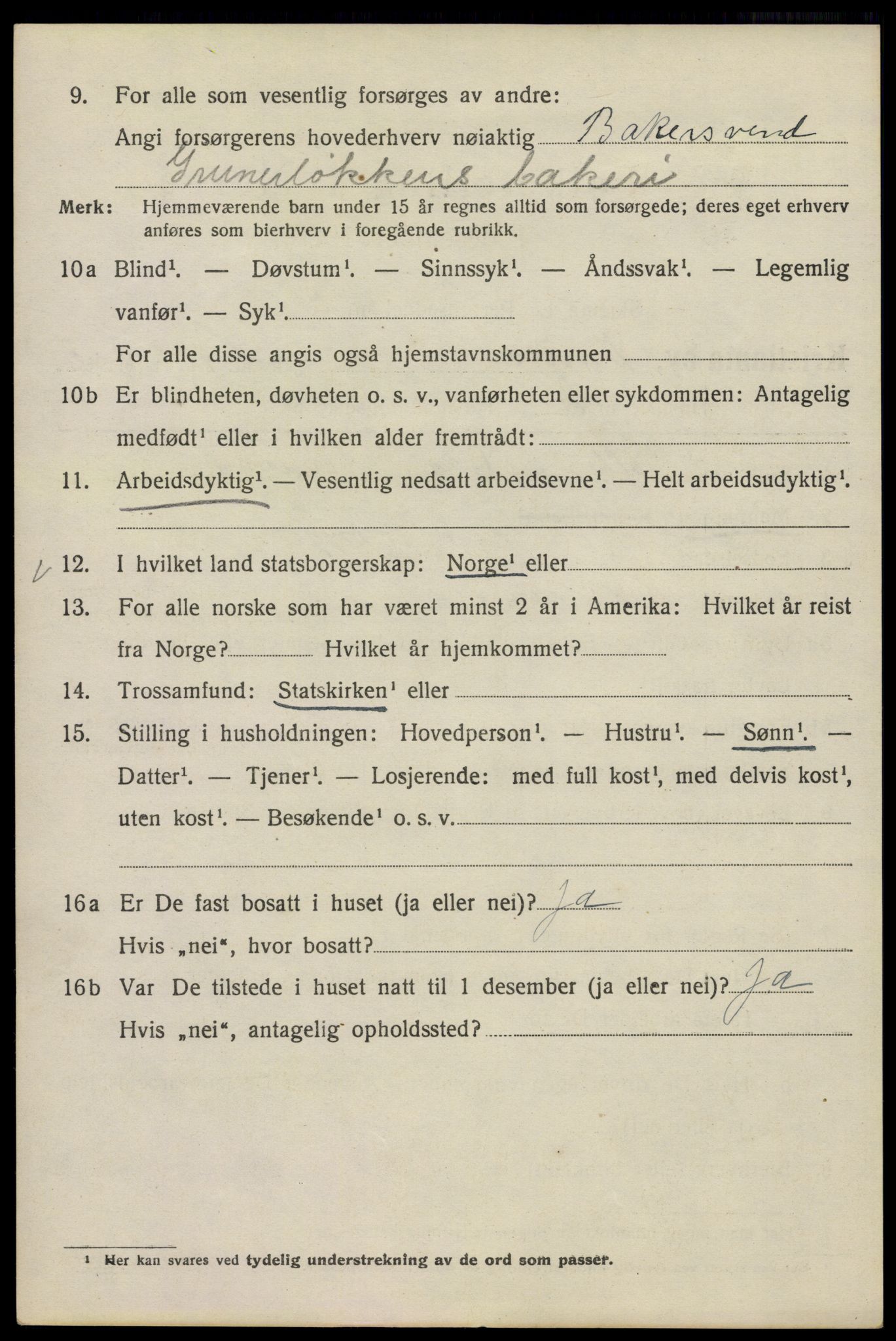 SAO, 1920 census for Kristiania, 1920, p. 197200