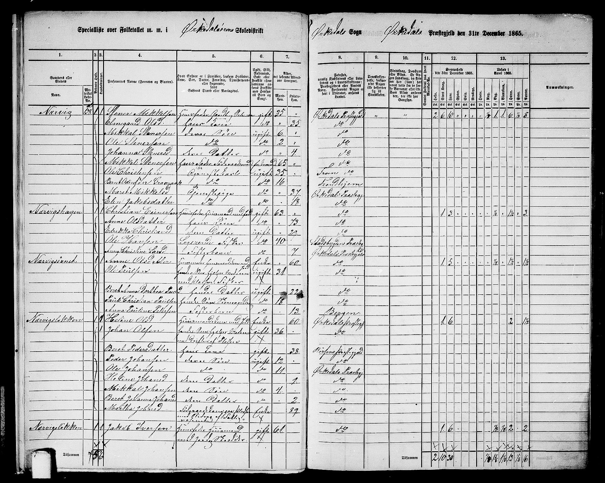 RA, 1865 census for Orkdal, 1865, p. 15