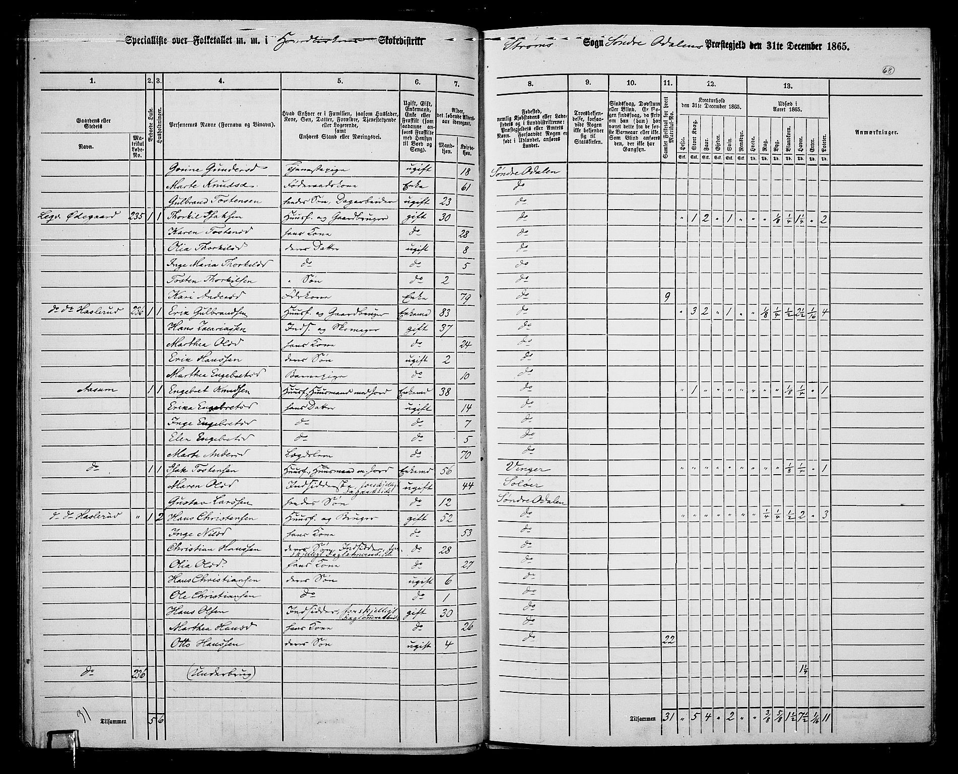 RA, 1865 census for Sør-Odal, 1865, p. 58