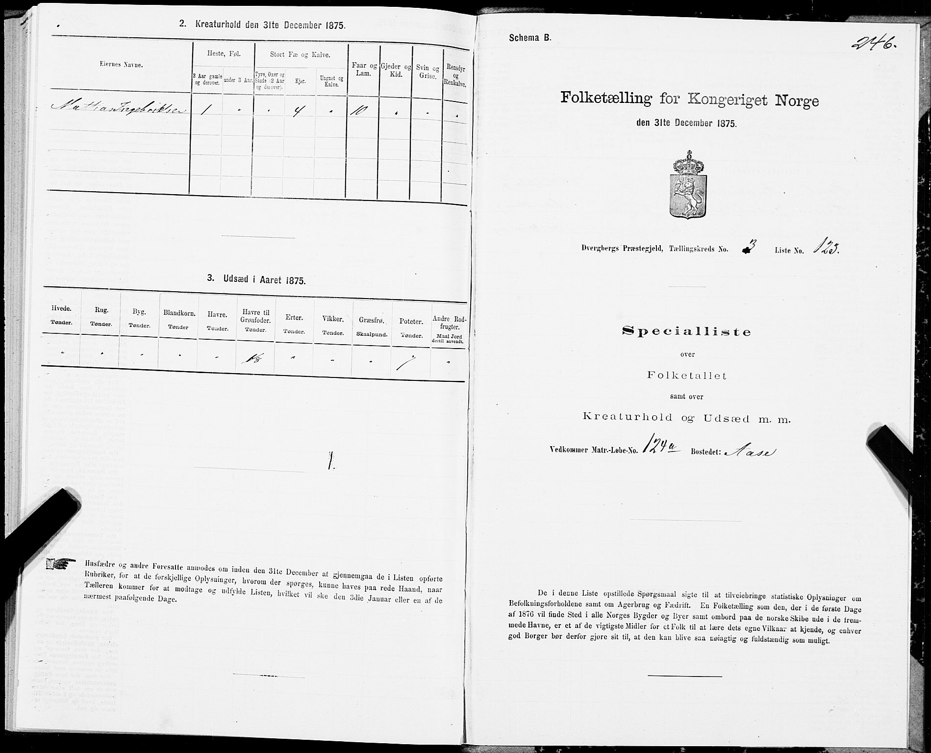 SAT, 1875 census for 1872P Dverberg, 1875, p. 2246