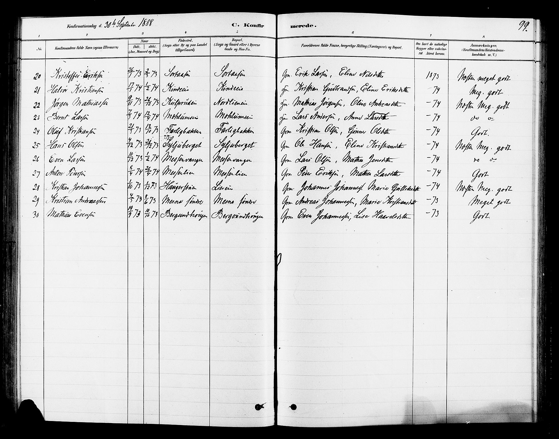 Ringsaker prestekontor, AV/SAH-PREST-014/L/La/L0010: Parish register (copy) no. 10, 1879-1890, p. 99