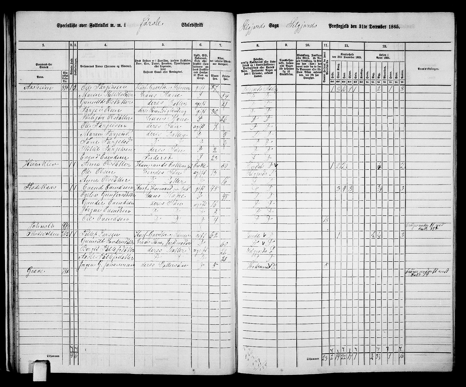 RA, 1865 census for Seljord, 1865, p. 28