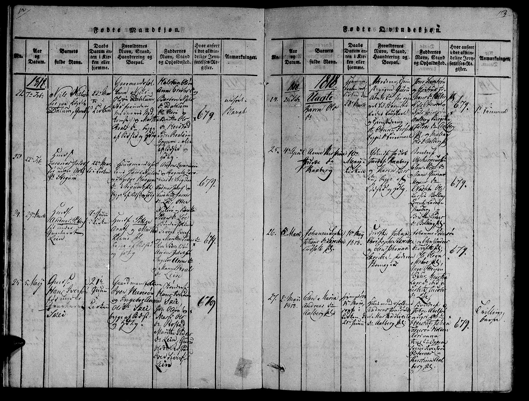 Ministerialprotokoller, klokkerbøker og fødselsregistre - Nord-Trøndelag, AV/SAT-A-1458/735/L0333: Parish register (official) no. 735A04 /1, 1816-1824, p. 12-13