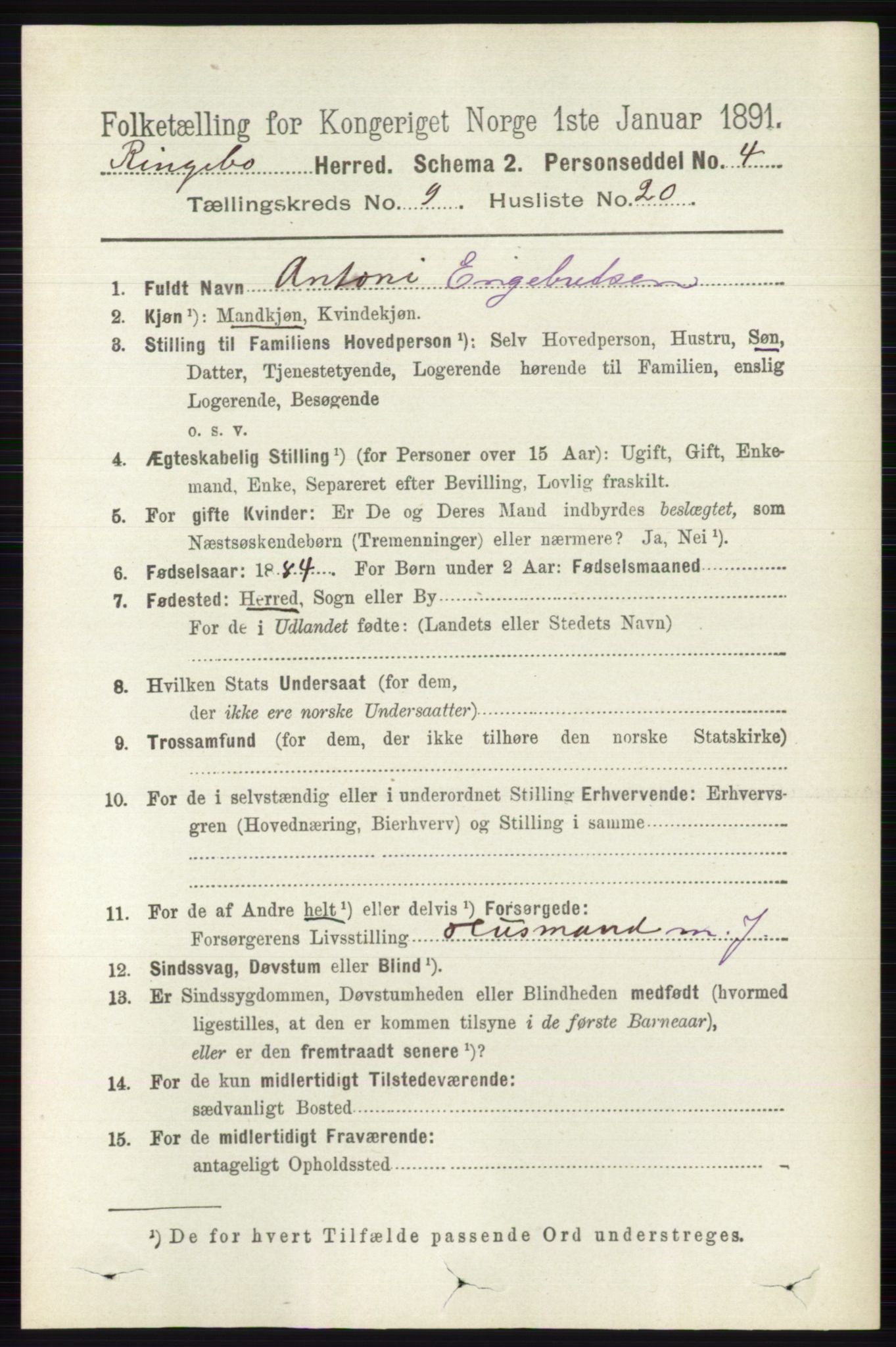 RA, 1891 census for 0520 Ringebu, 1891, p. 4361