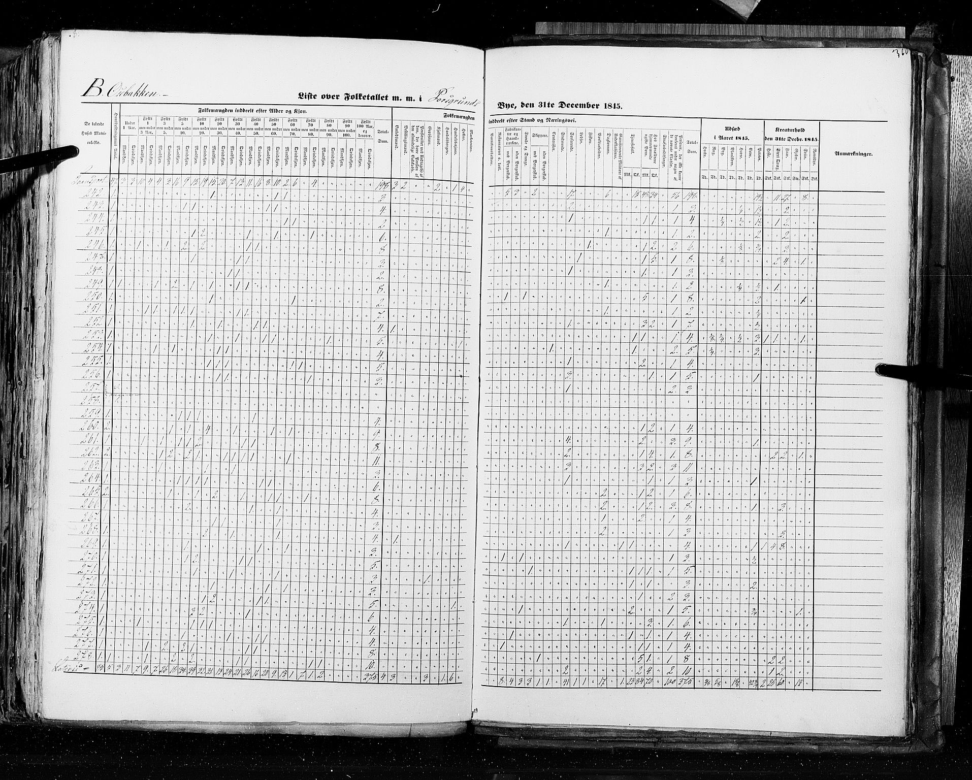 RA, Census 1845, vol. 10: Cities, 1845, p. 360