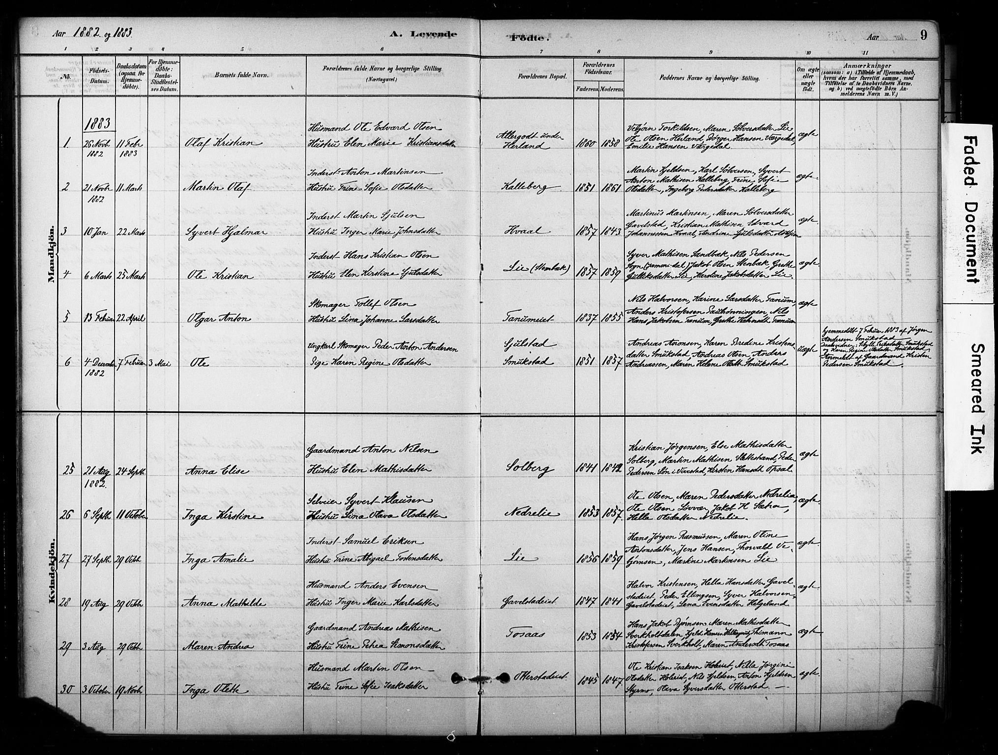 Lardal kirkebøker, AV/SAKO-A-350/F/Fb/L0001: Parish register (official) no. II 1, 1881-1911, p. 9