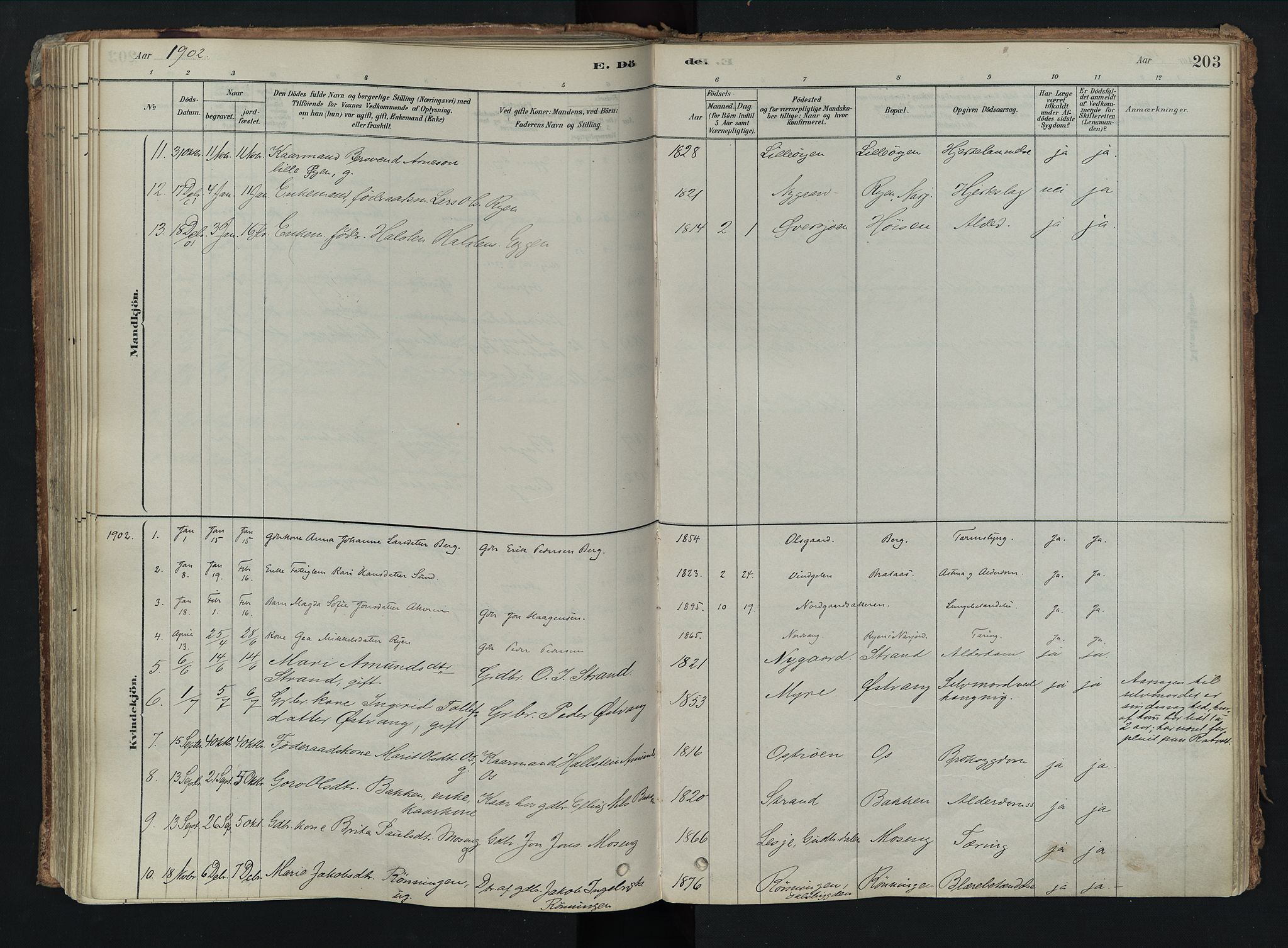 Tolga prestekontor, AV/SAH-PREST-062/K/L0008: Parish register (official) no. 8, 1877-1910, p. 203