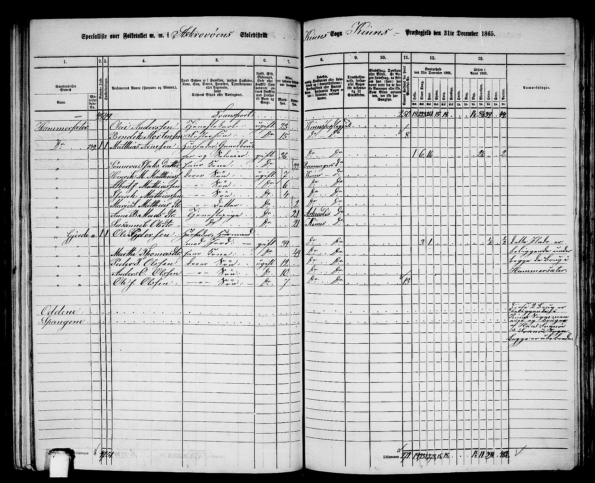 RA, 1865 census for Kinn, 1865, p. 161