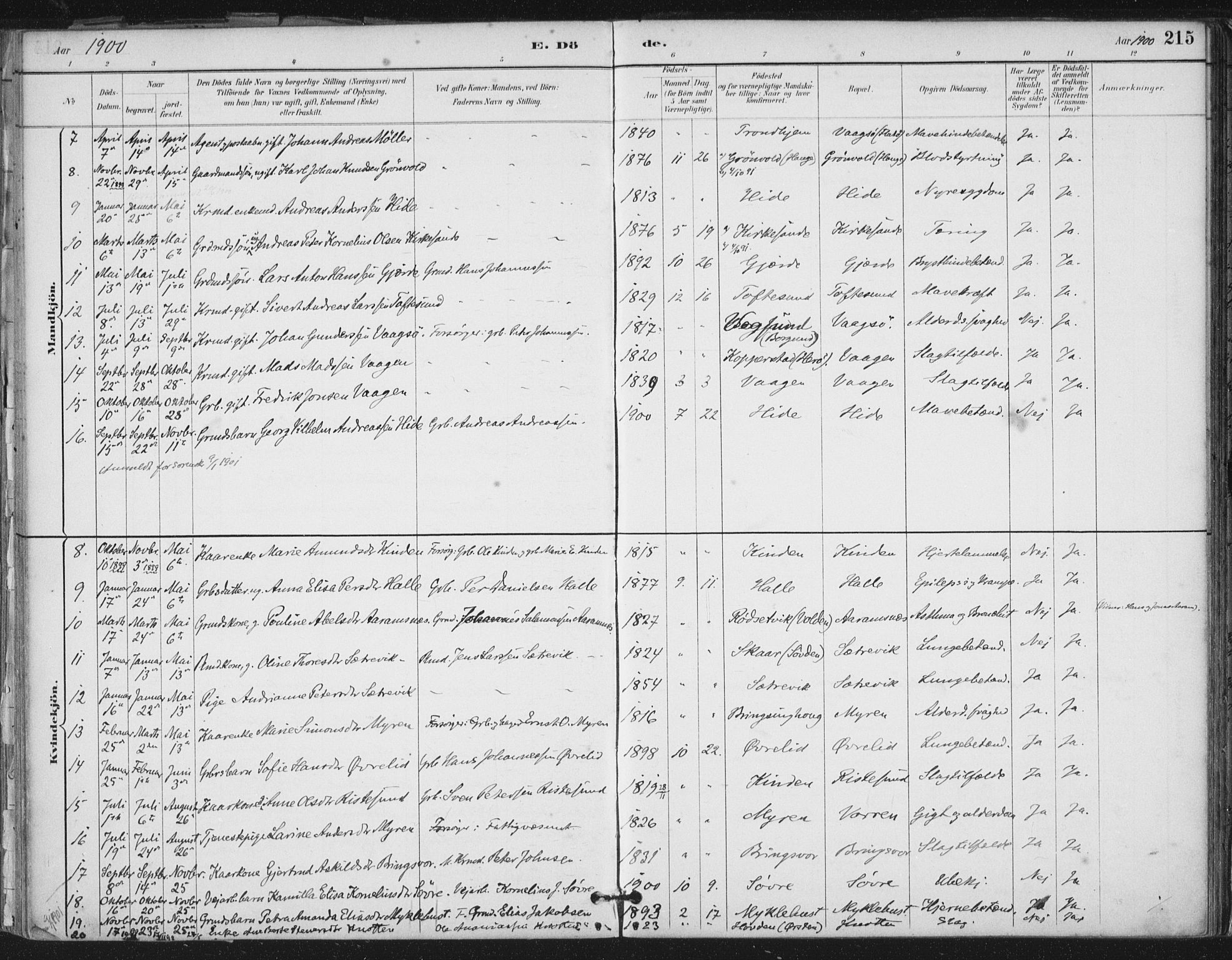 Ministerialprotokoller, klokkerbøker og fødselsregistre - Møre og Romsdal, AV/SAT-A-1454/503/L0037: Parish register (official) no. 503A05, 1884-1900, p. 215