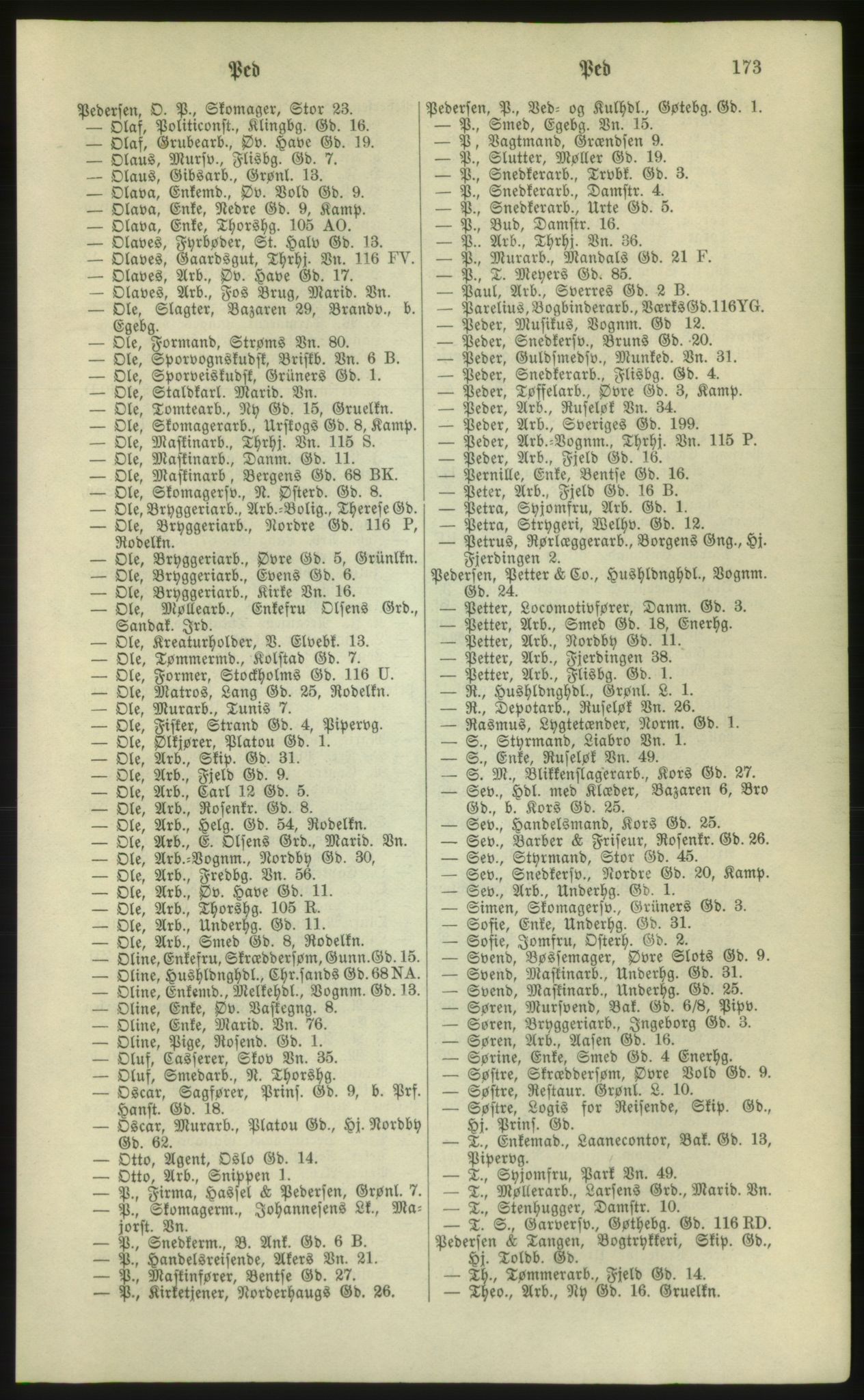 Kristiania/Oslo adressebok, PUBL/-, 1881, p. 173