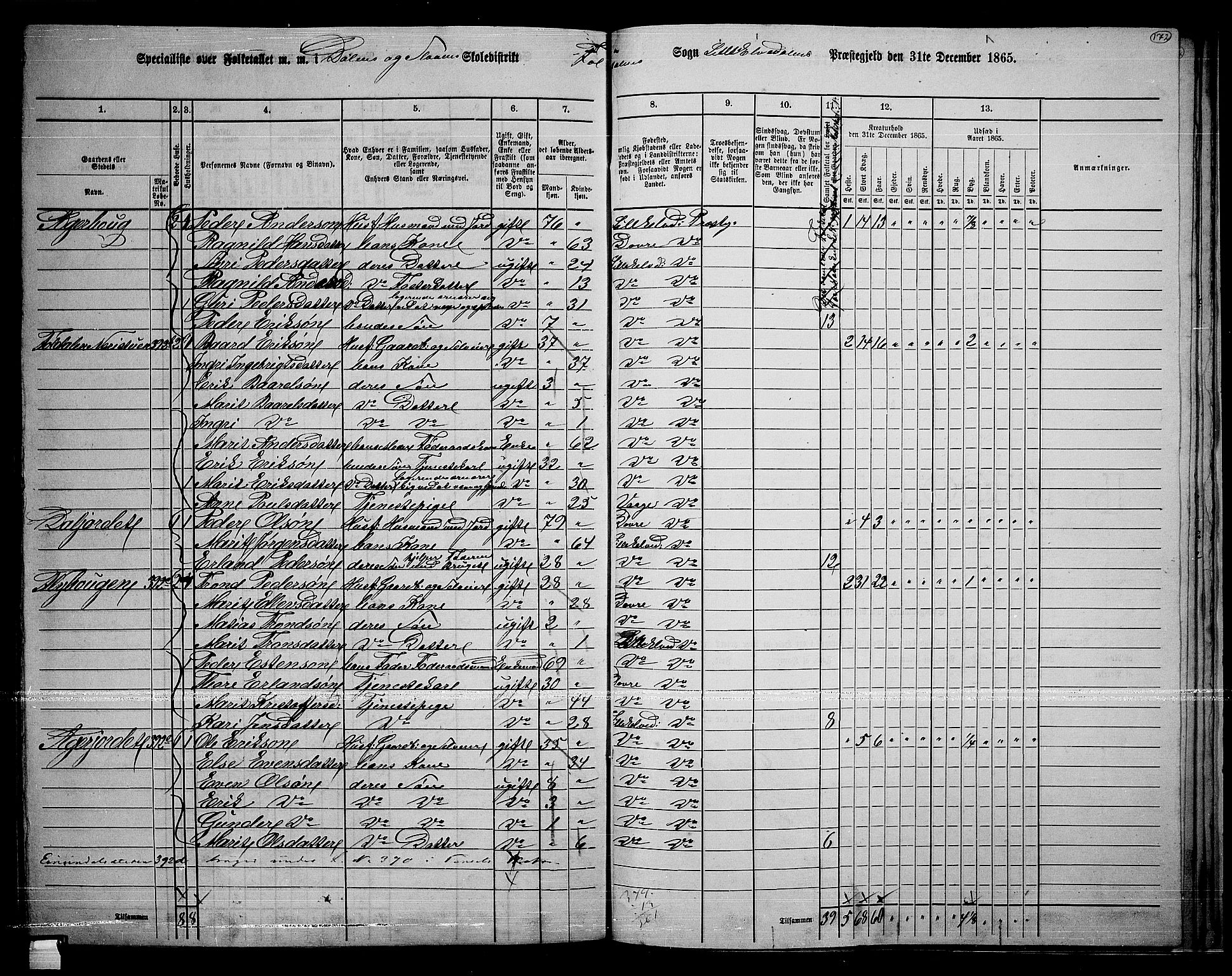 RA, 1865 census for Lille Elvedalen, 1865, p. 142